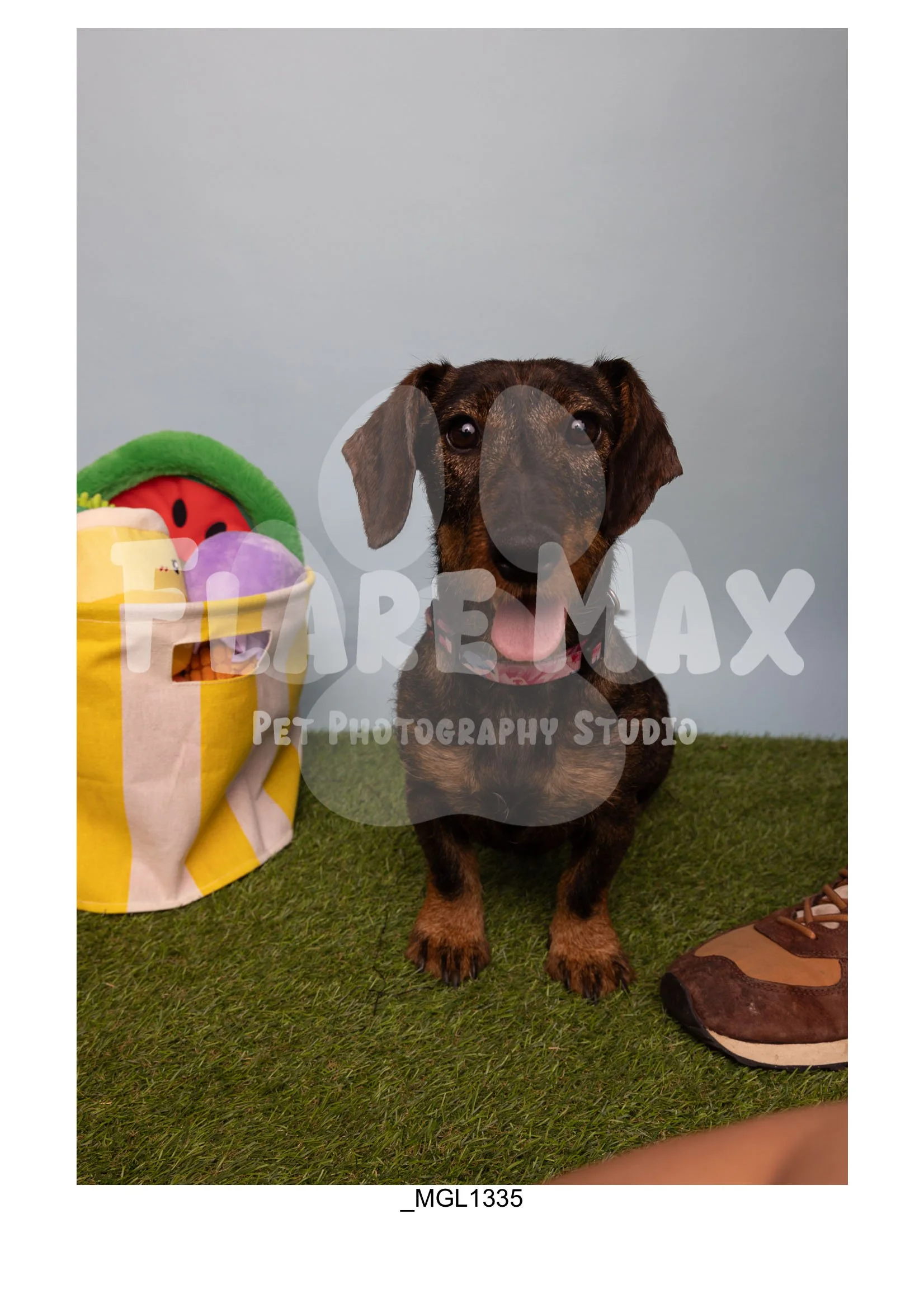 Doghouse gallery-076.jpg