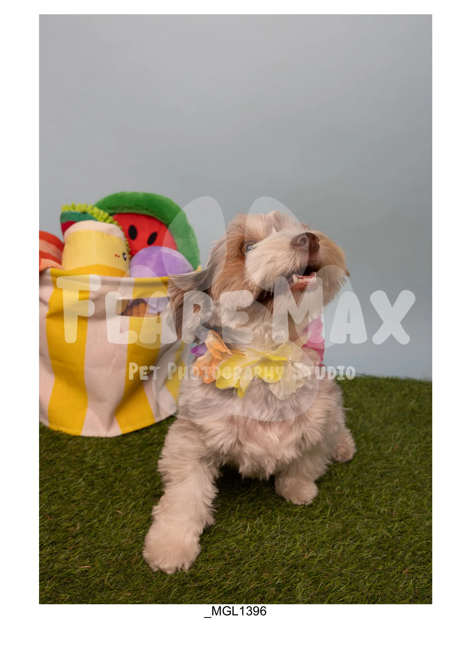 Doghouse gallery-079.jpg