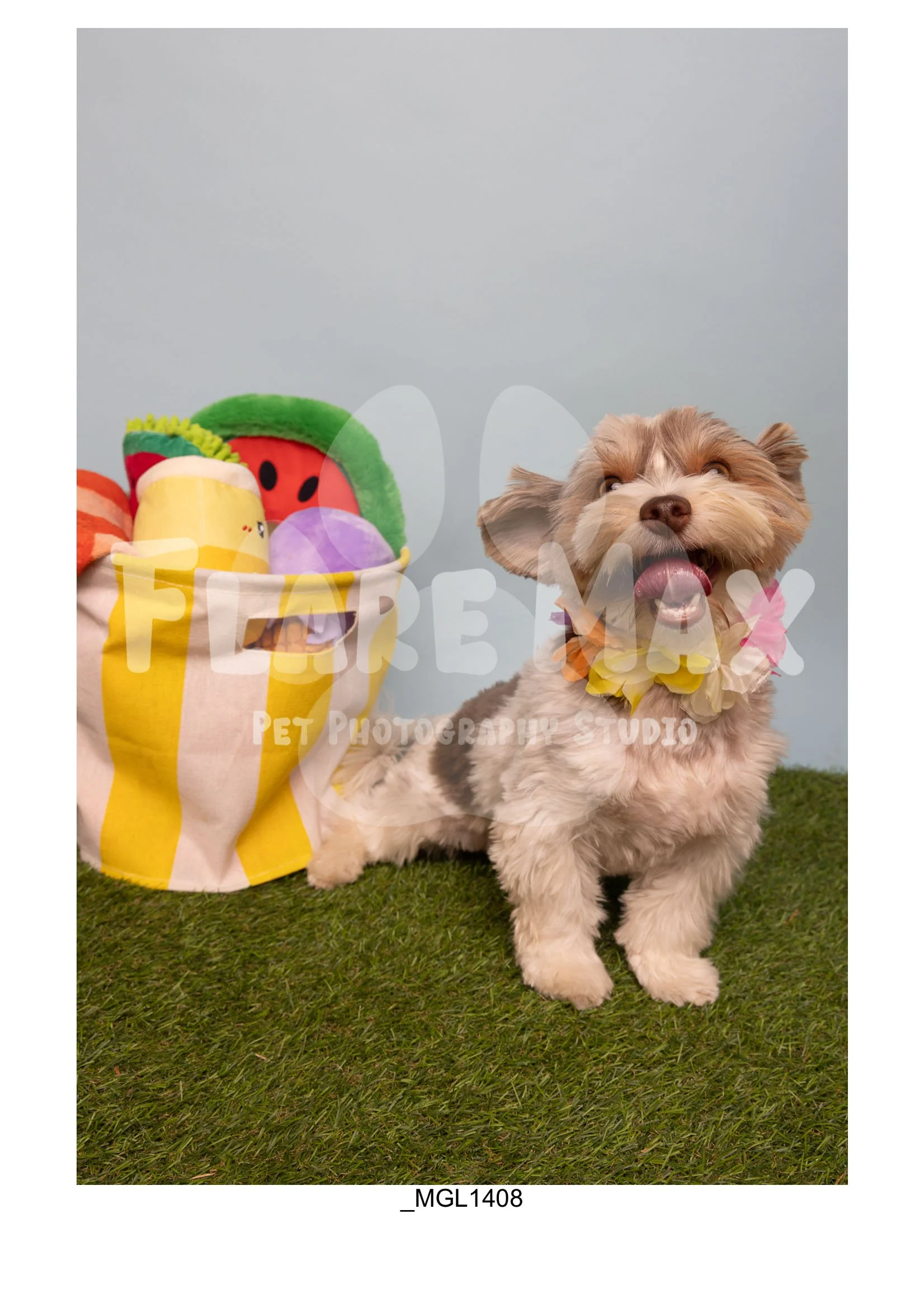 Doghouse gallery-080.jpg
