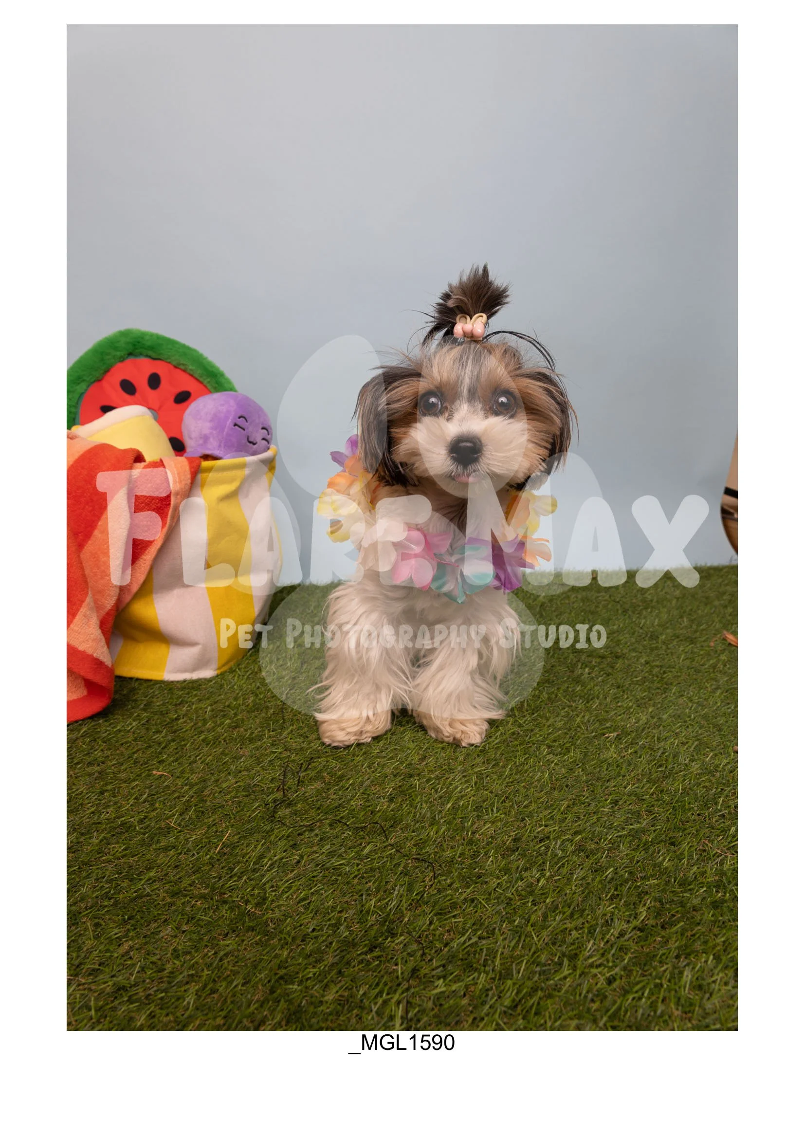 Doghouse gallery-087.jpg