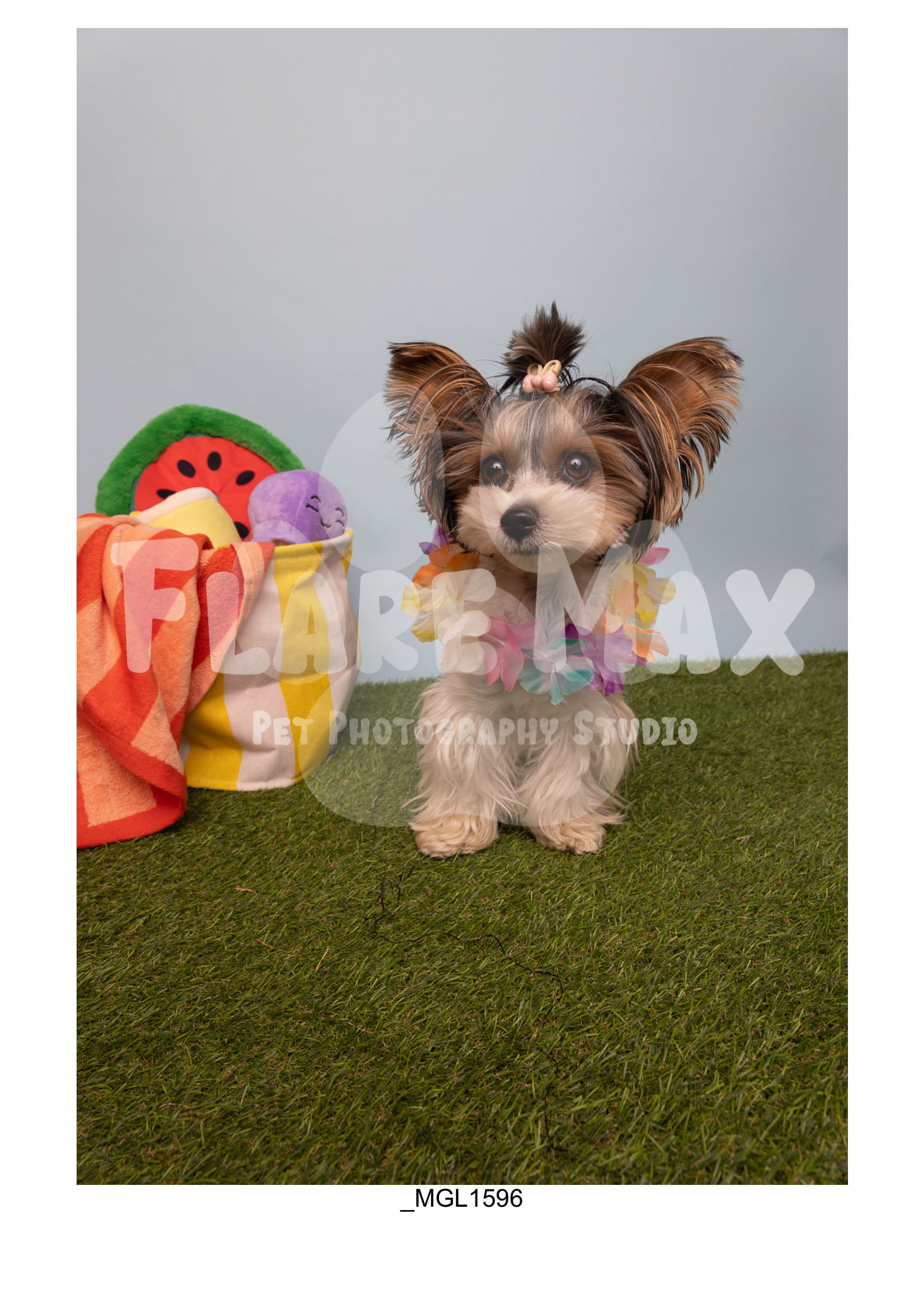 Doghouse gallery-088.jpg