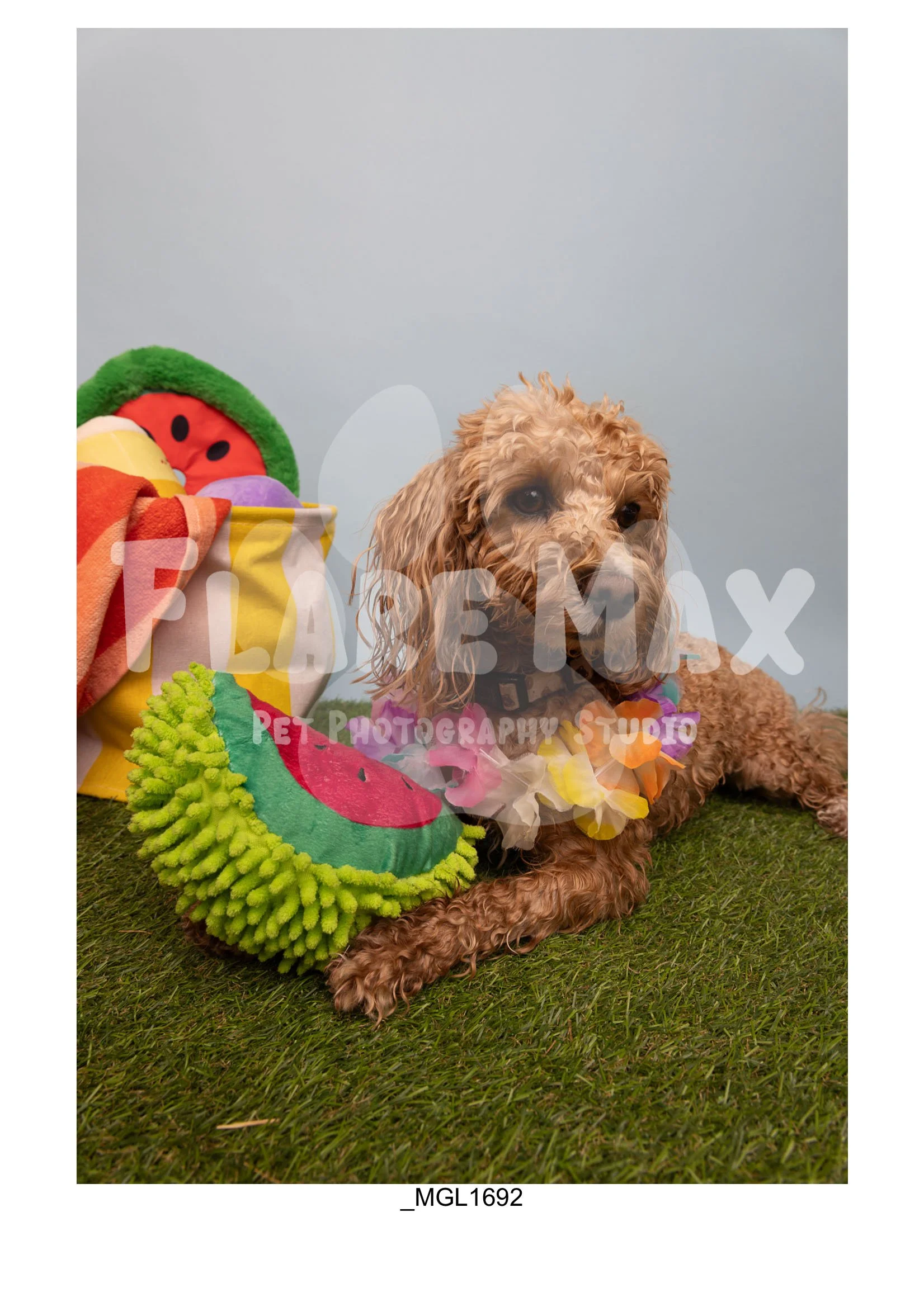 Doghouse gallery-091.jpg