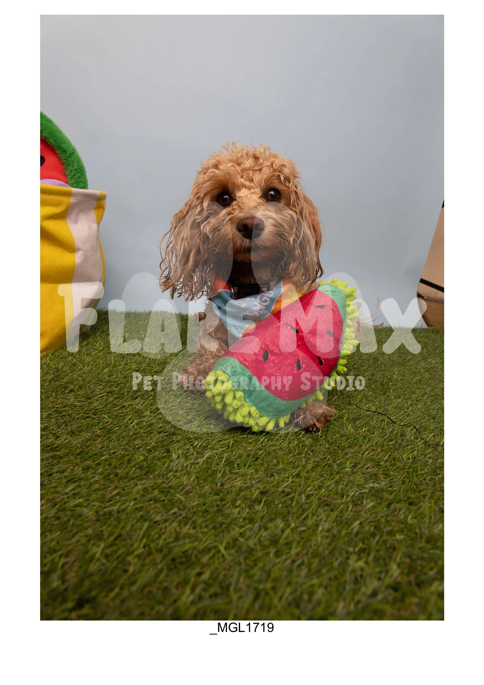Doghouse gallery-092.jpg
