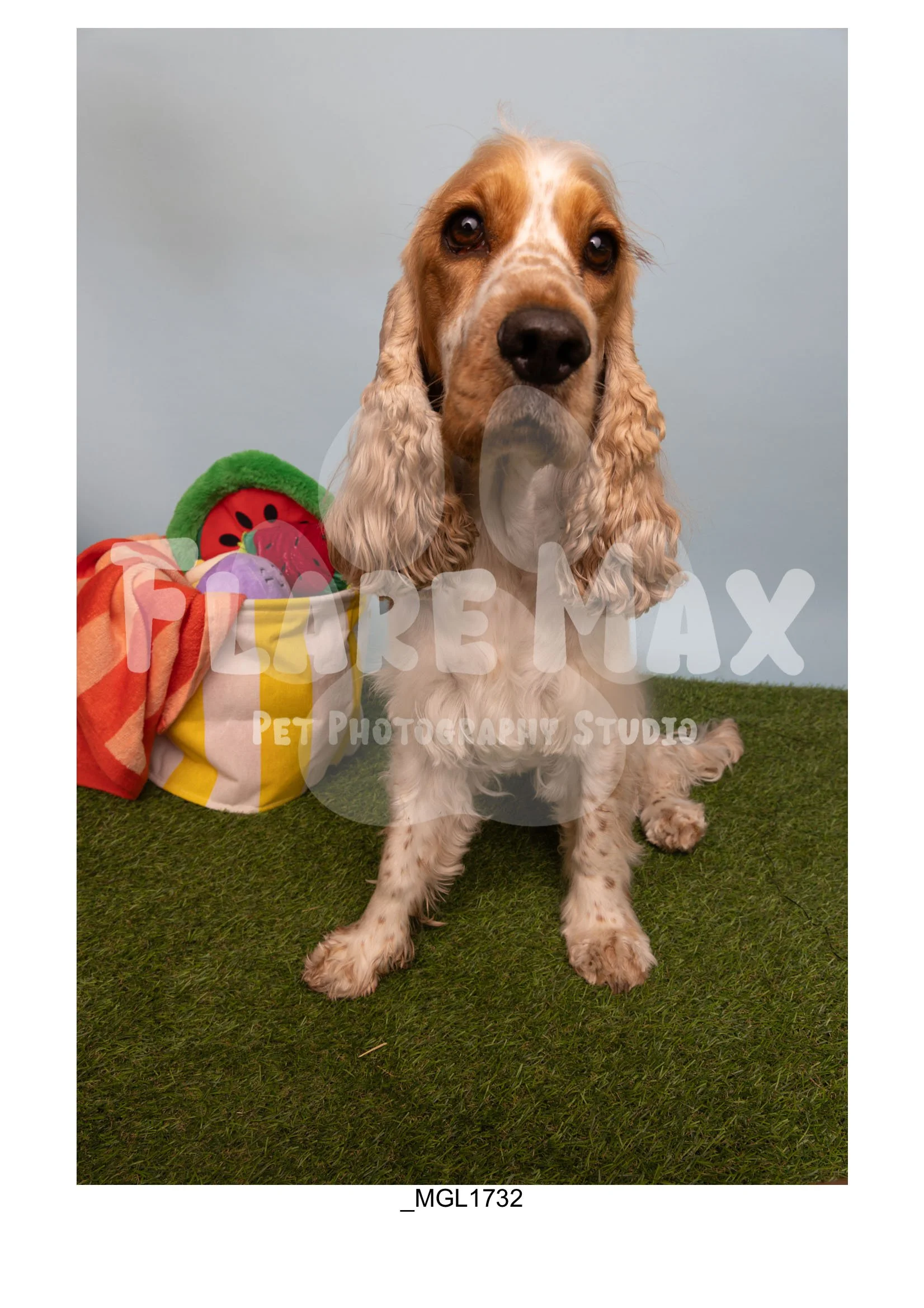 Doghouse gallery-093.jpg