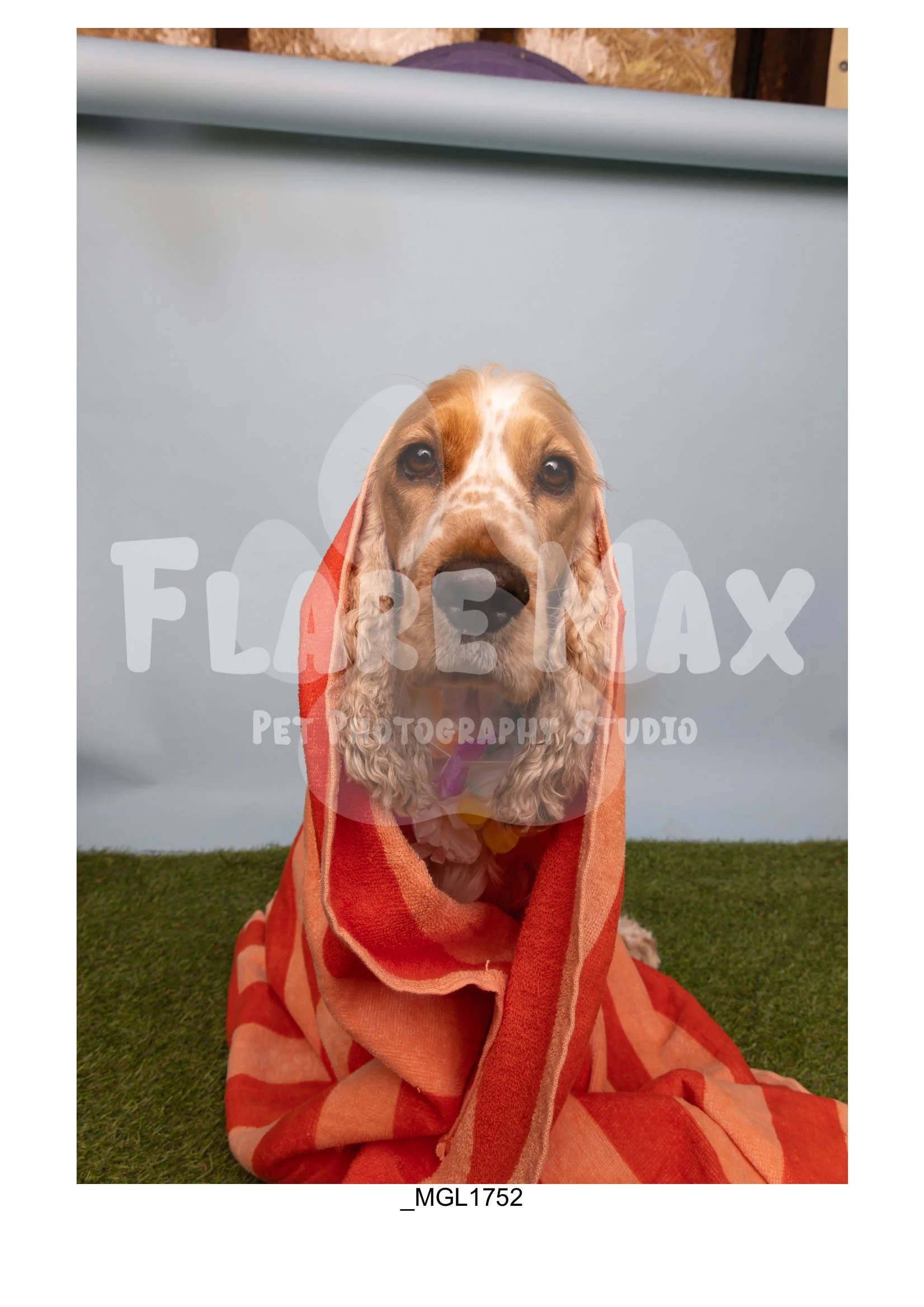 Doghouse gallery-094.jpg