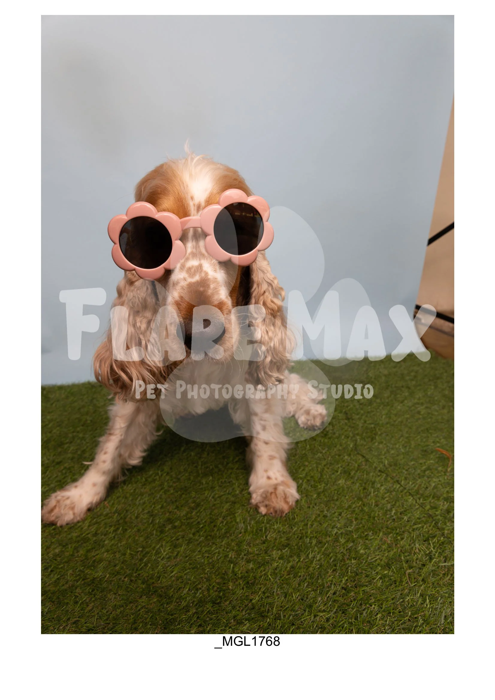 Doghouse gallery-097.jpg