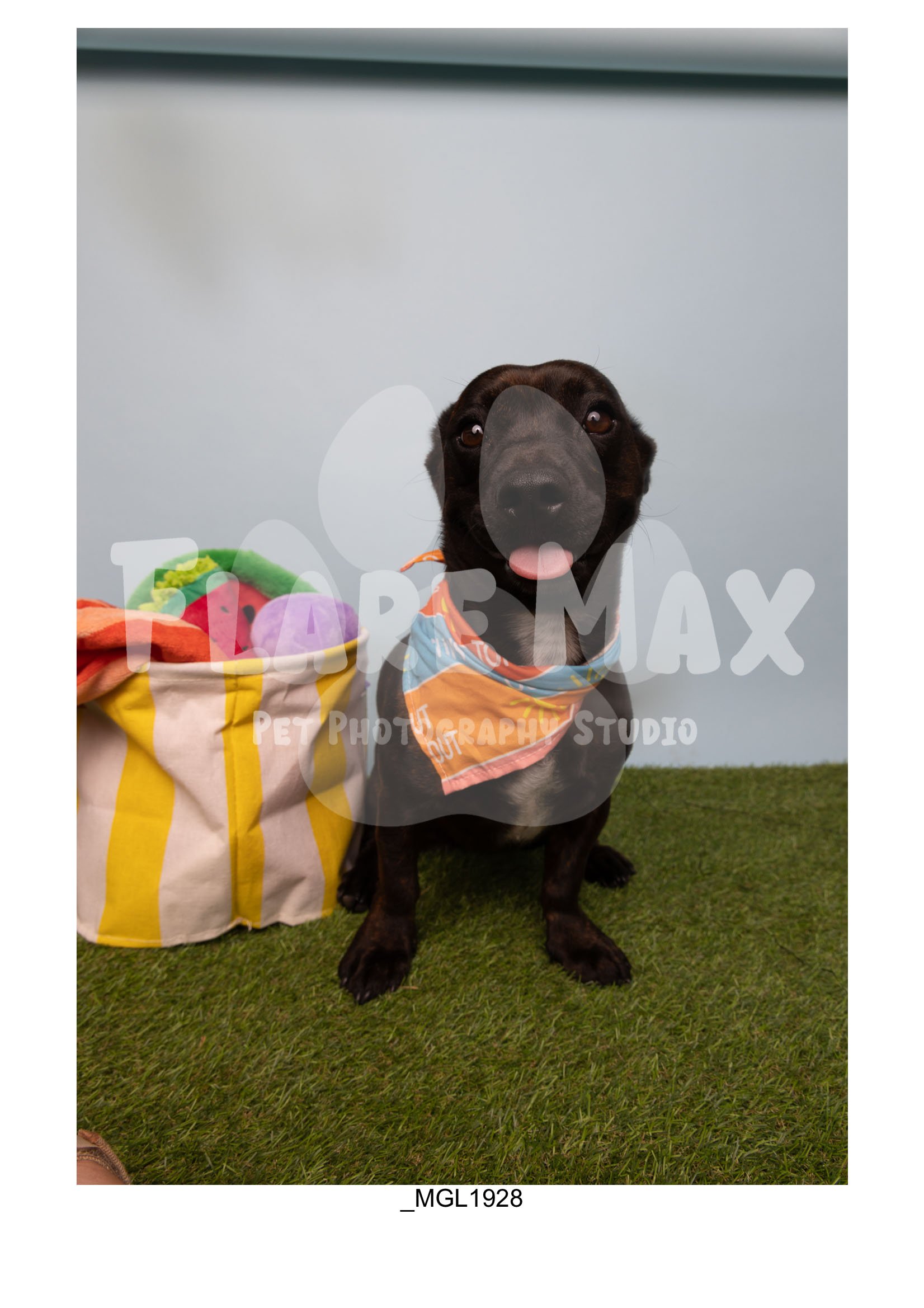 Doghouse gallery-103.jpg
