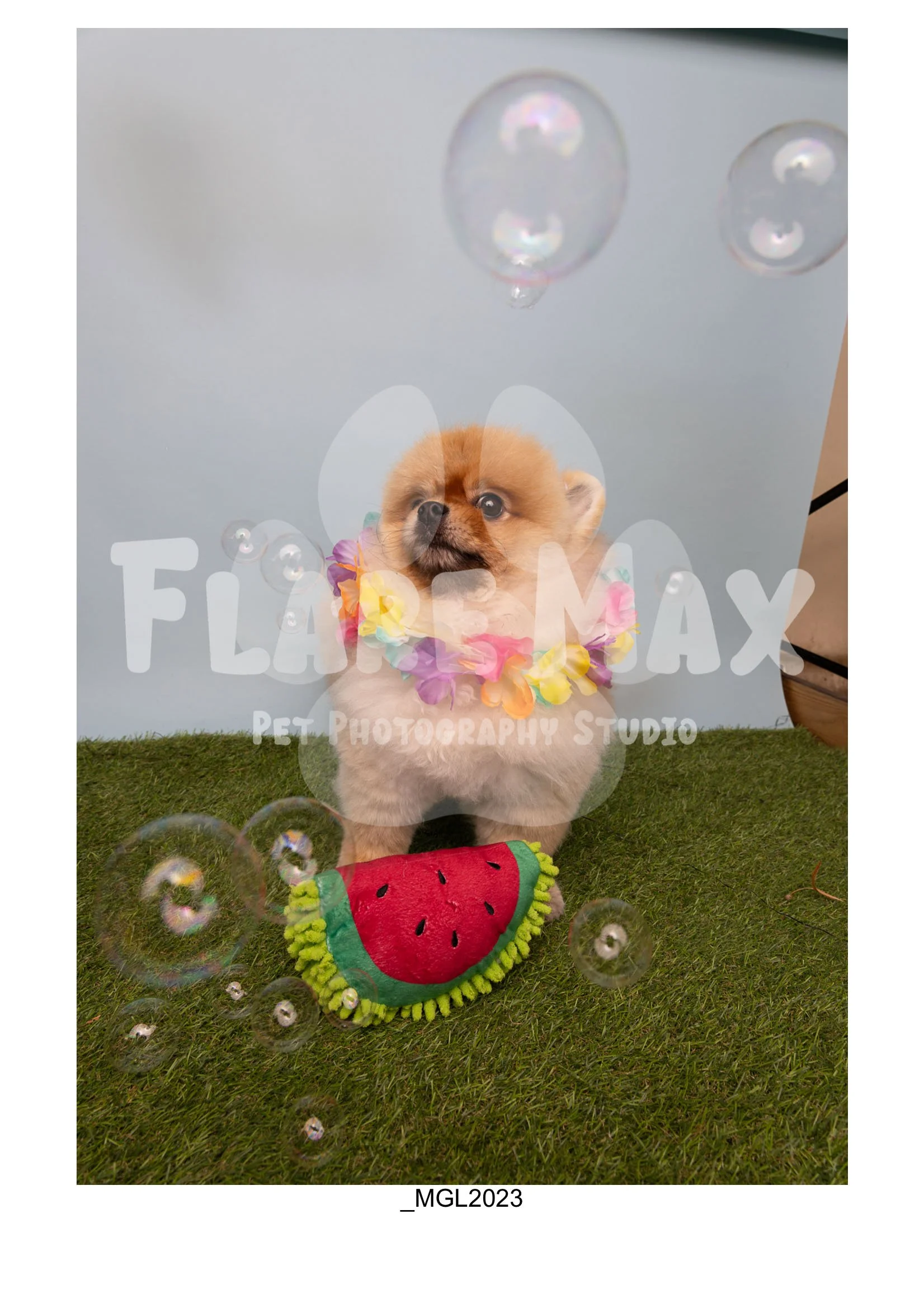 Doghouse gallery-109.jpg