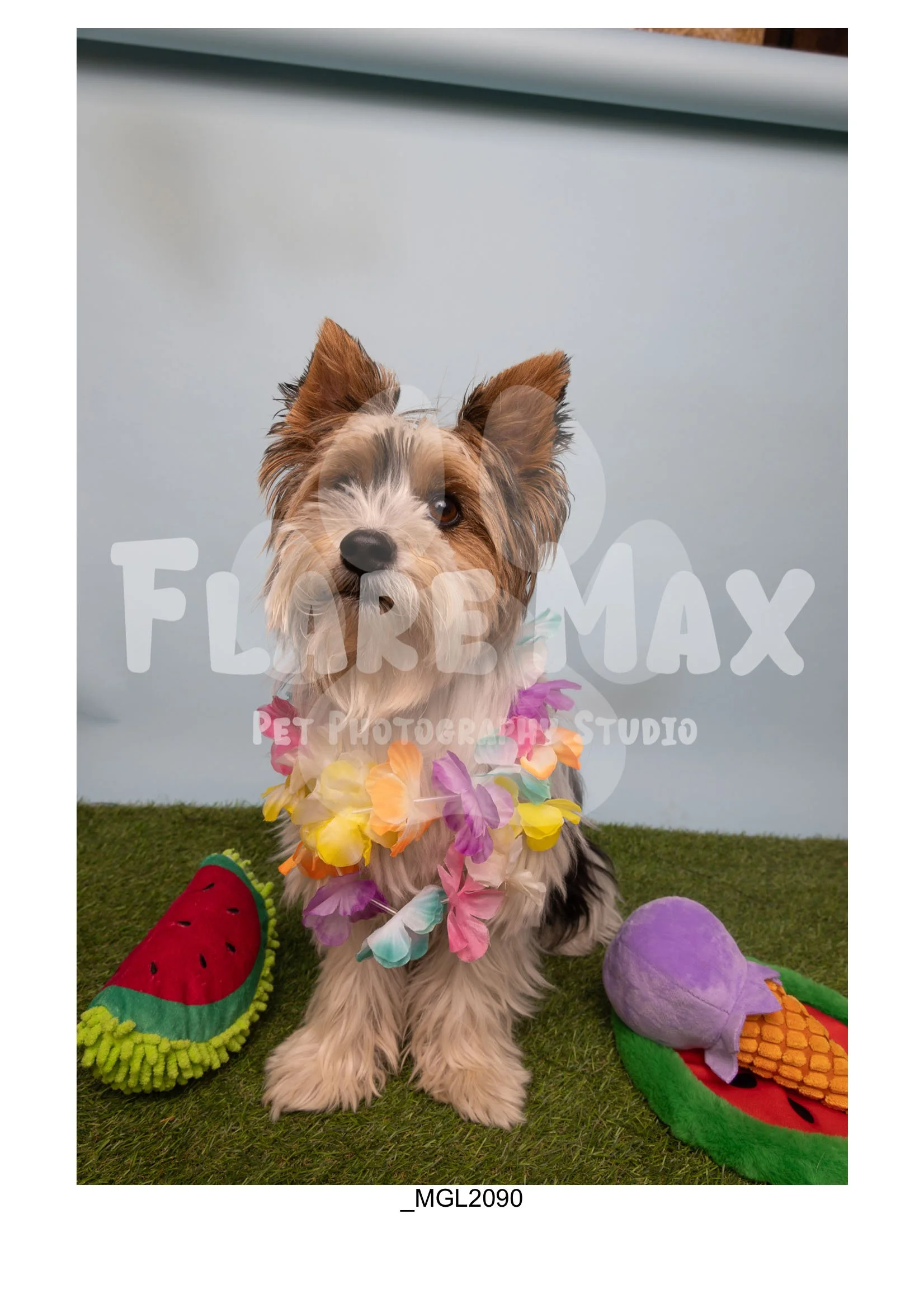 Doghouse gallery-112.jpg