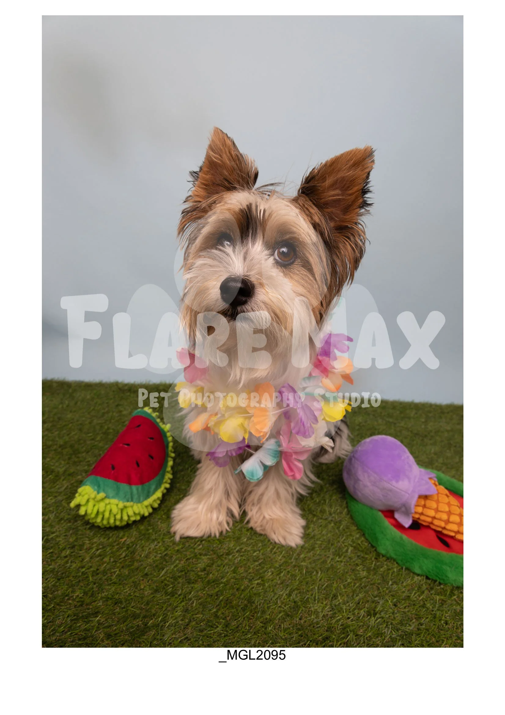 Doghouse gallery-114.jpg