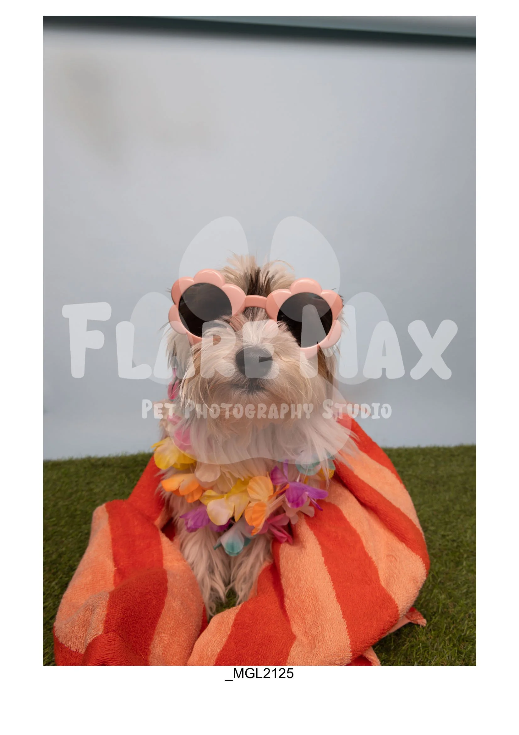Doghouse gallery-117.jpg