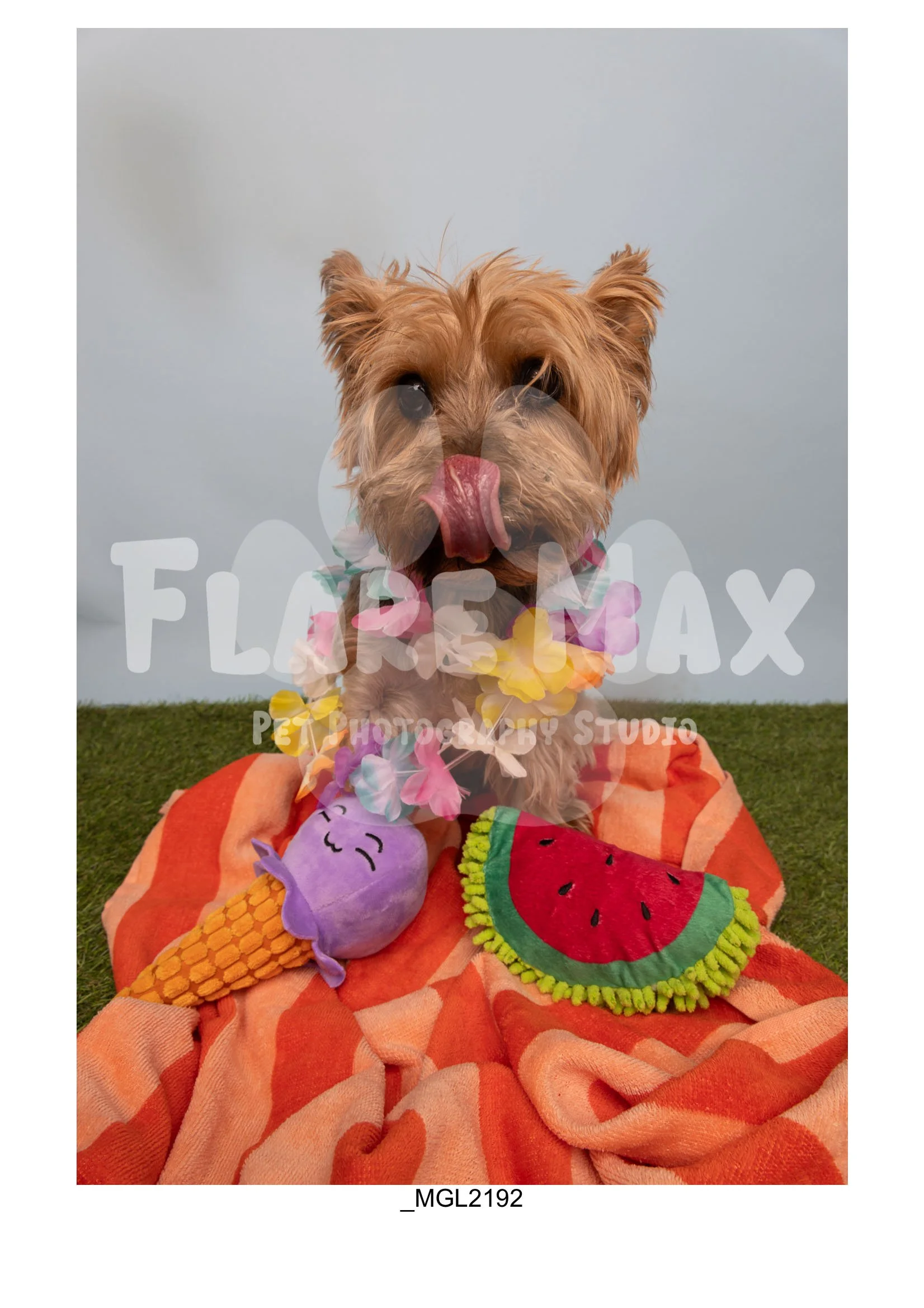 Doghouse gallery-119.jpg