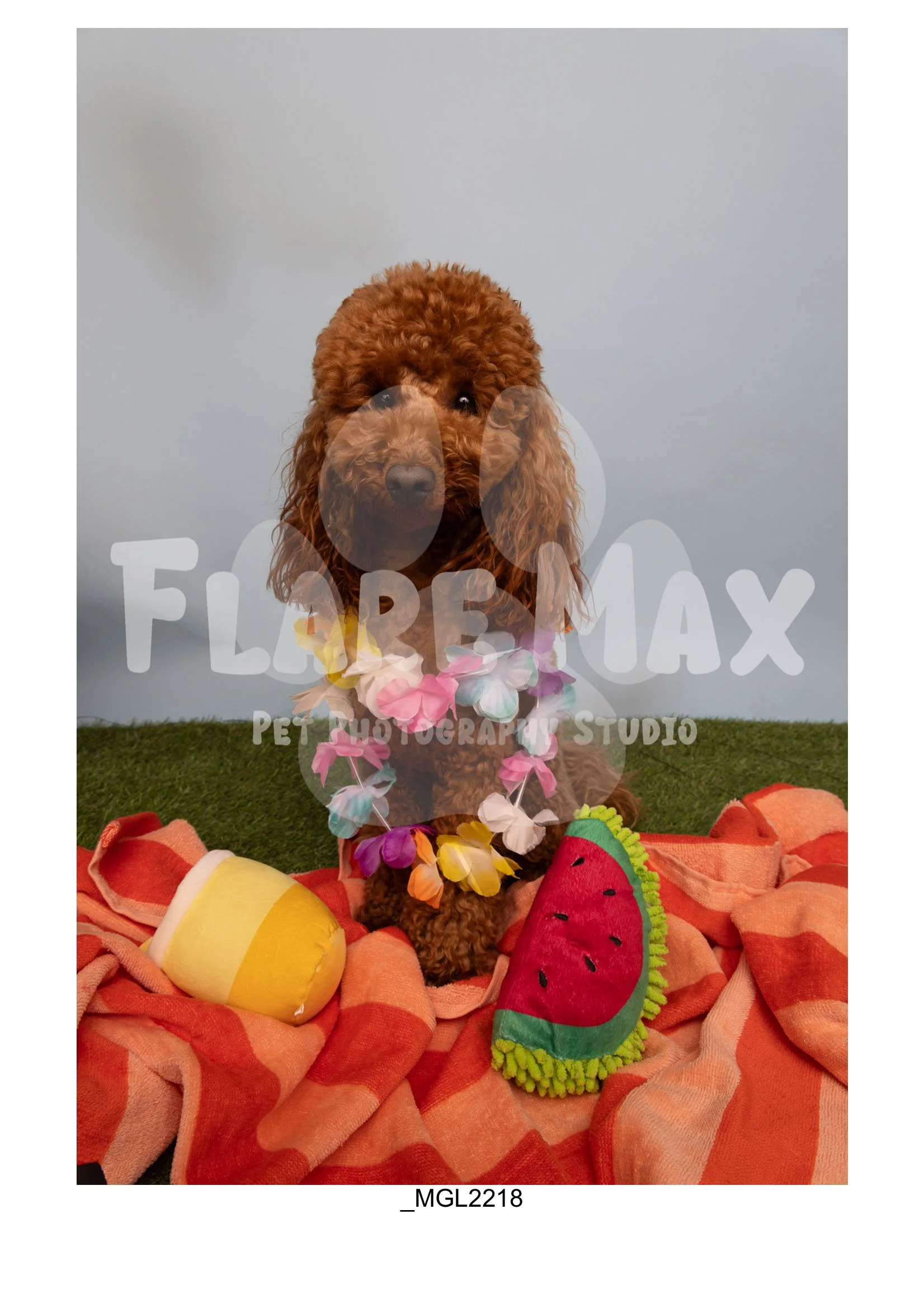 Doghouse gallery-121.jpg