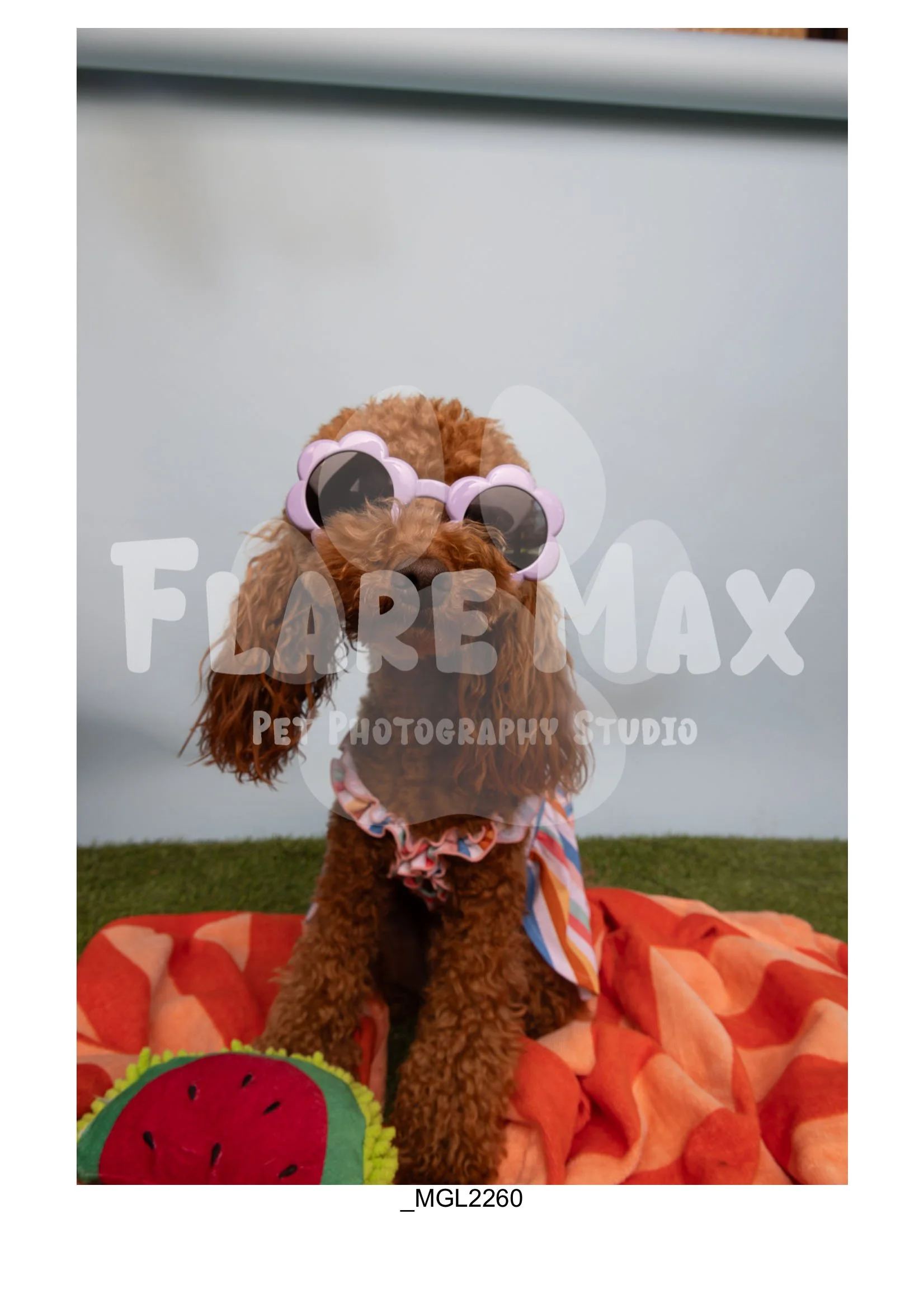 Doghouse gallery-124.jpg