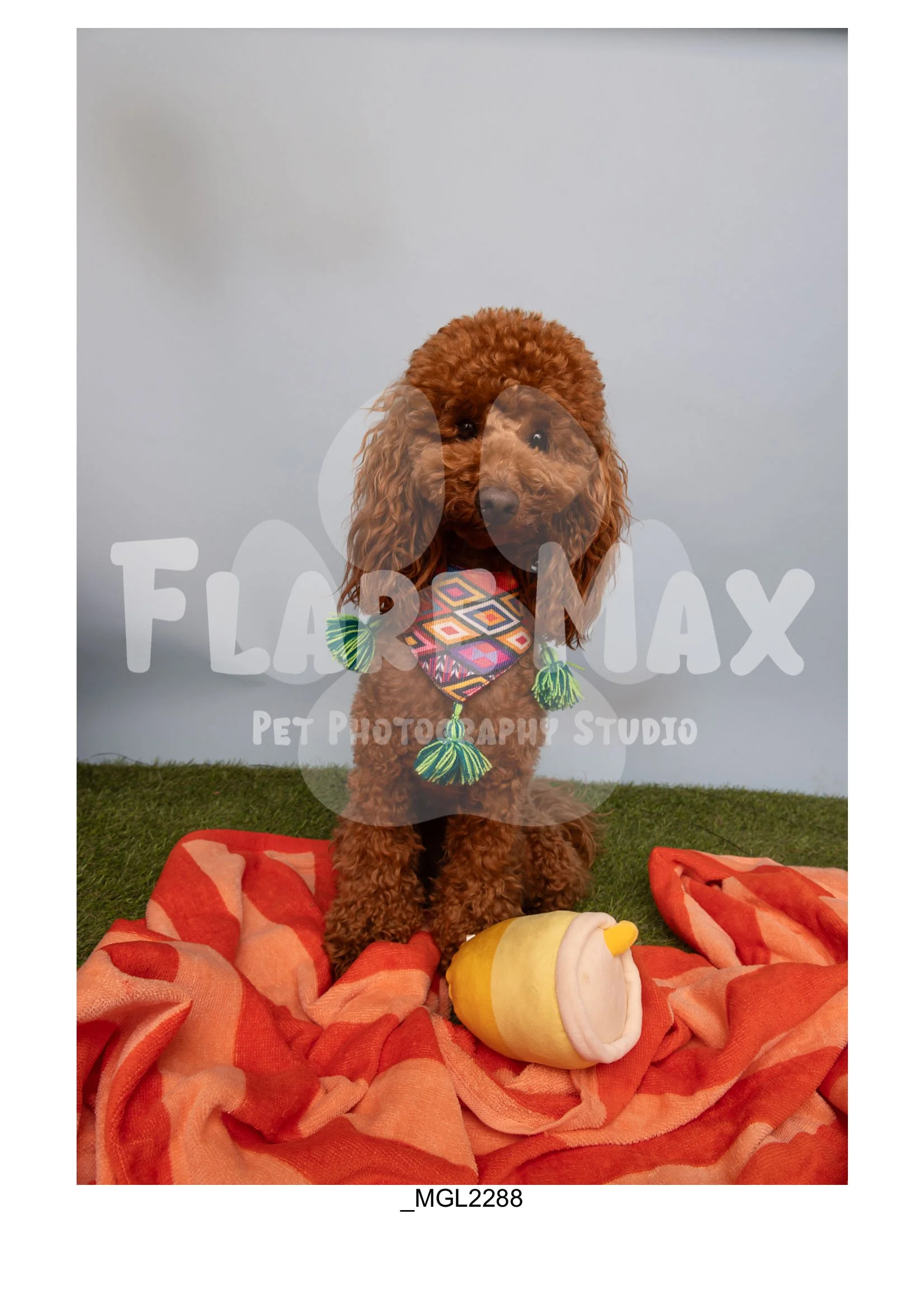 Doghouse gallery-125.jpg