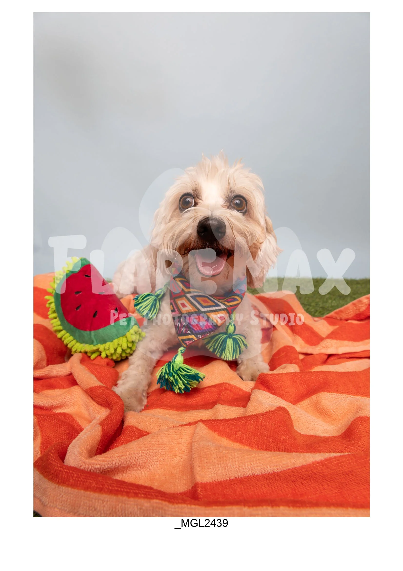 Doghouse gallery-133.jpg