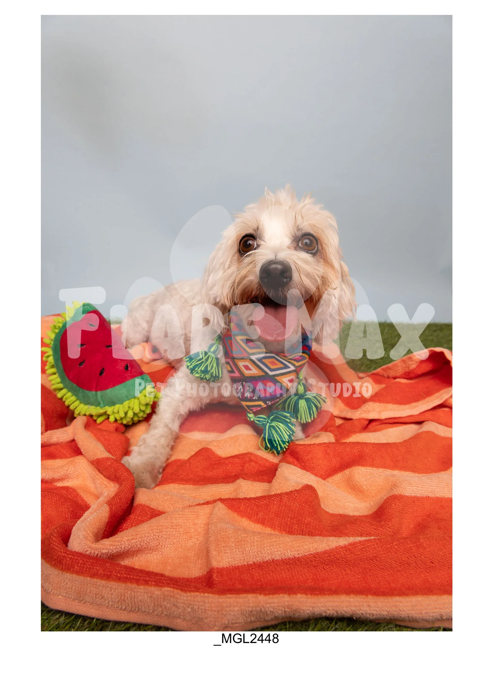 Doghouse gallery-134.jpg