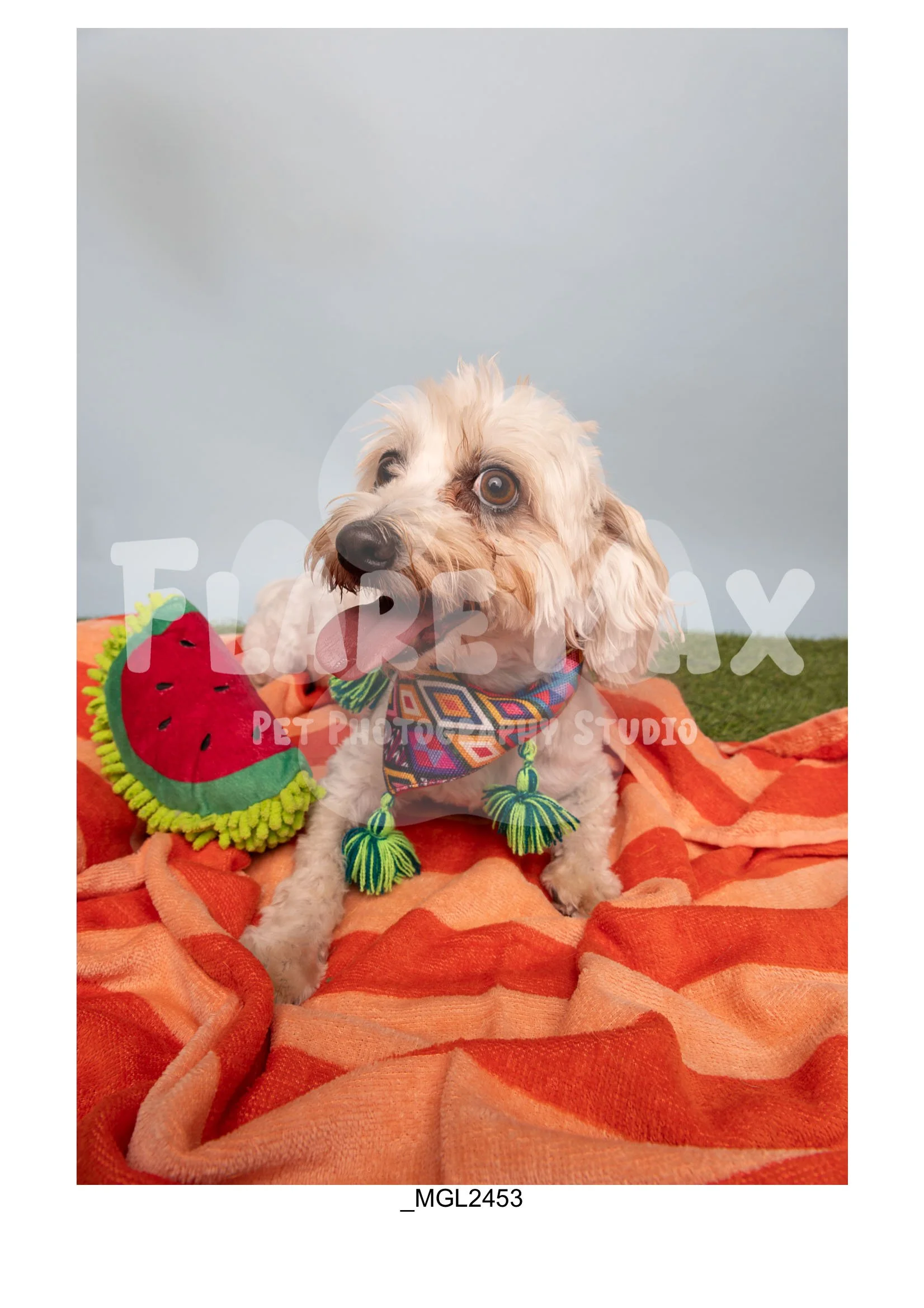 Doghouse gallery-135.jpg
