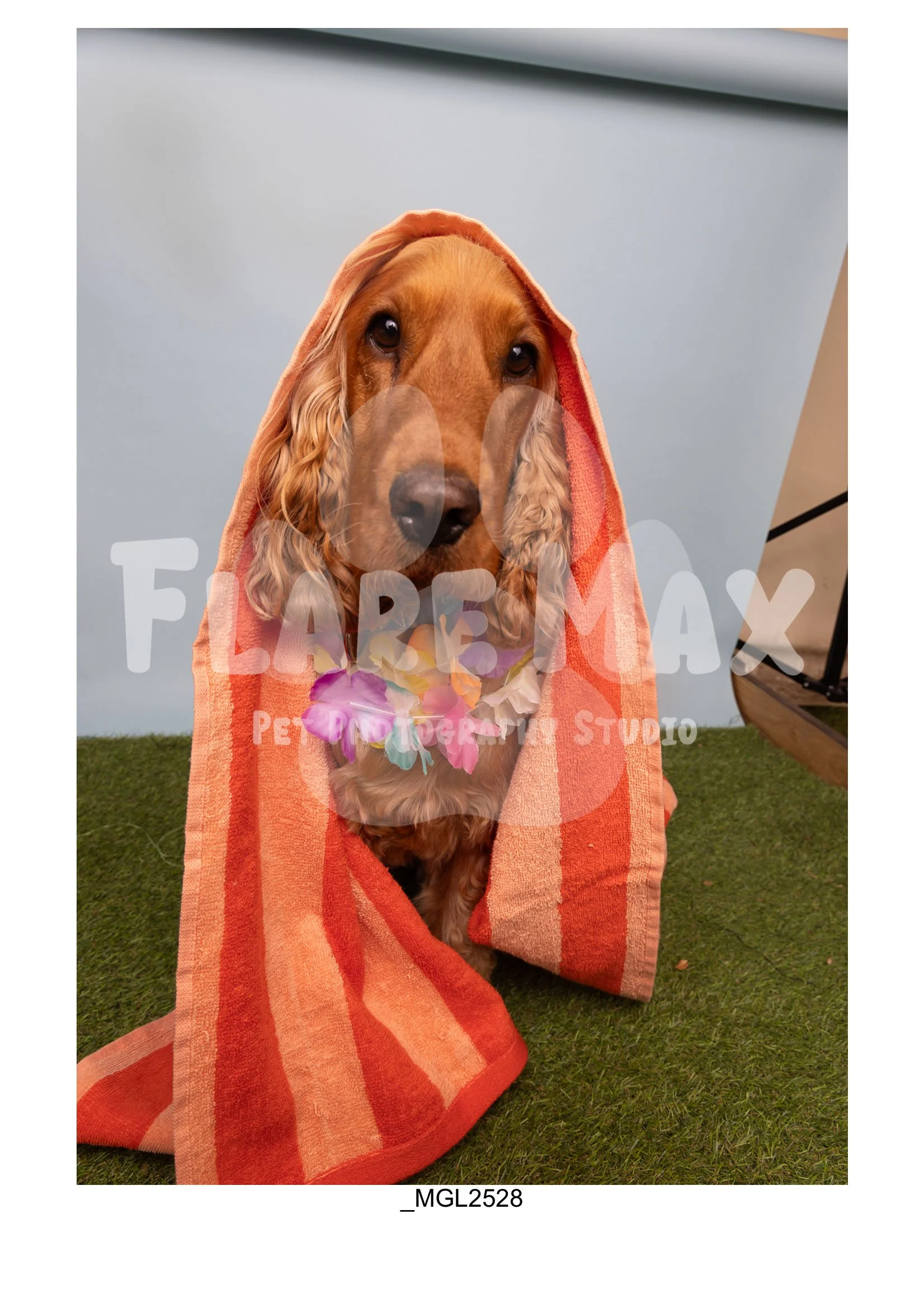 Doghouse gallery-142.jpg