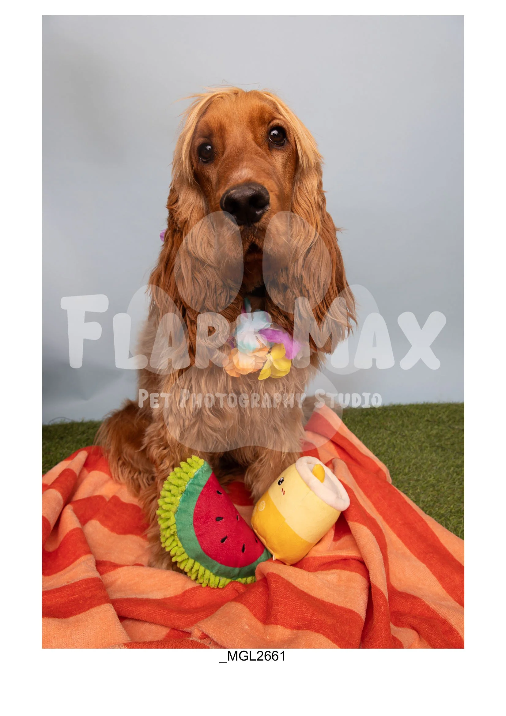 Doghouse gallery-149.jpg