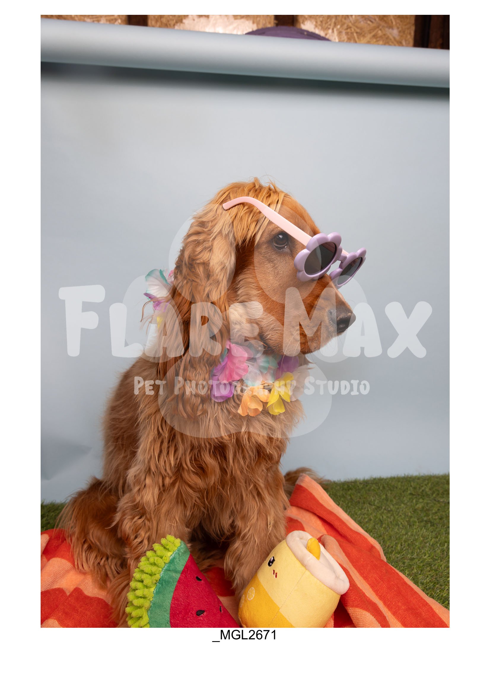 Doghouse gallery-151.jpg