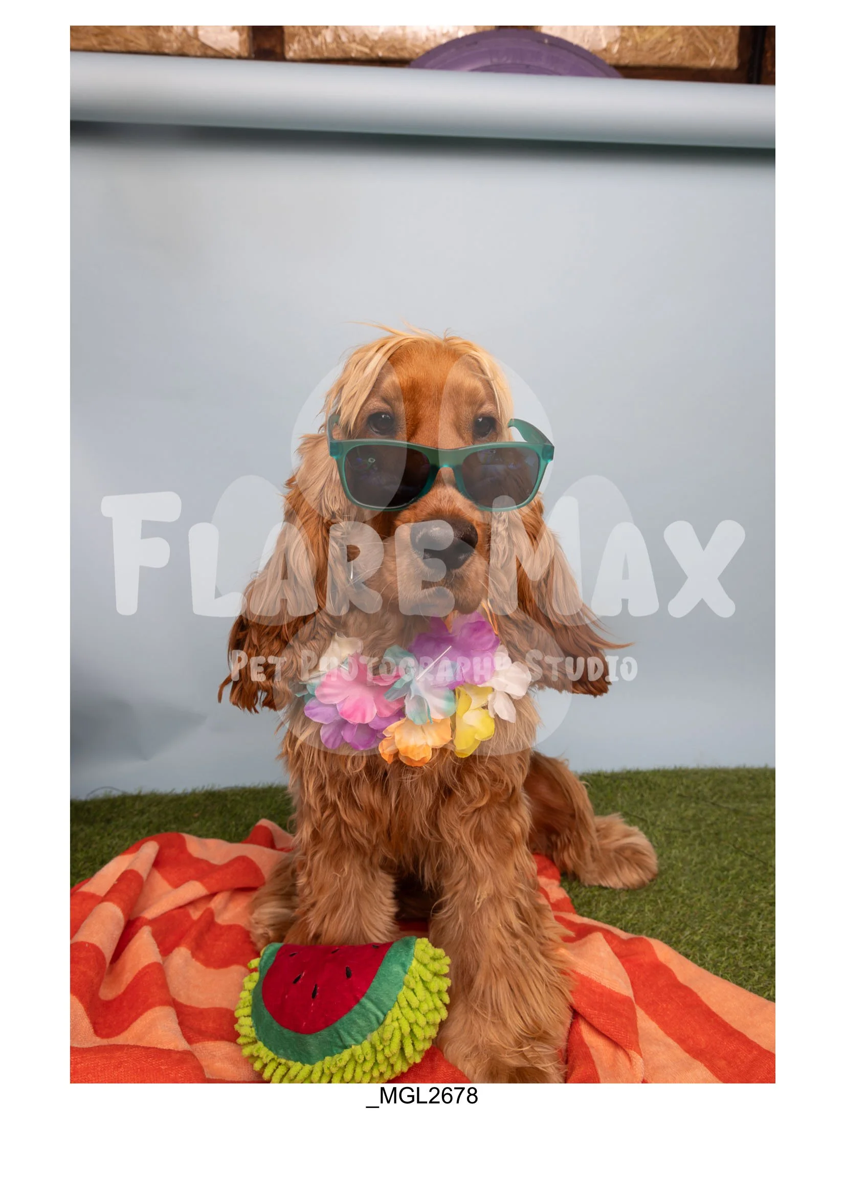Doghouse gallery-152.jpg