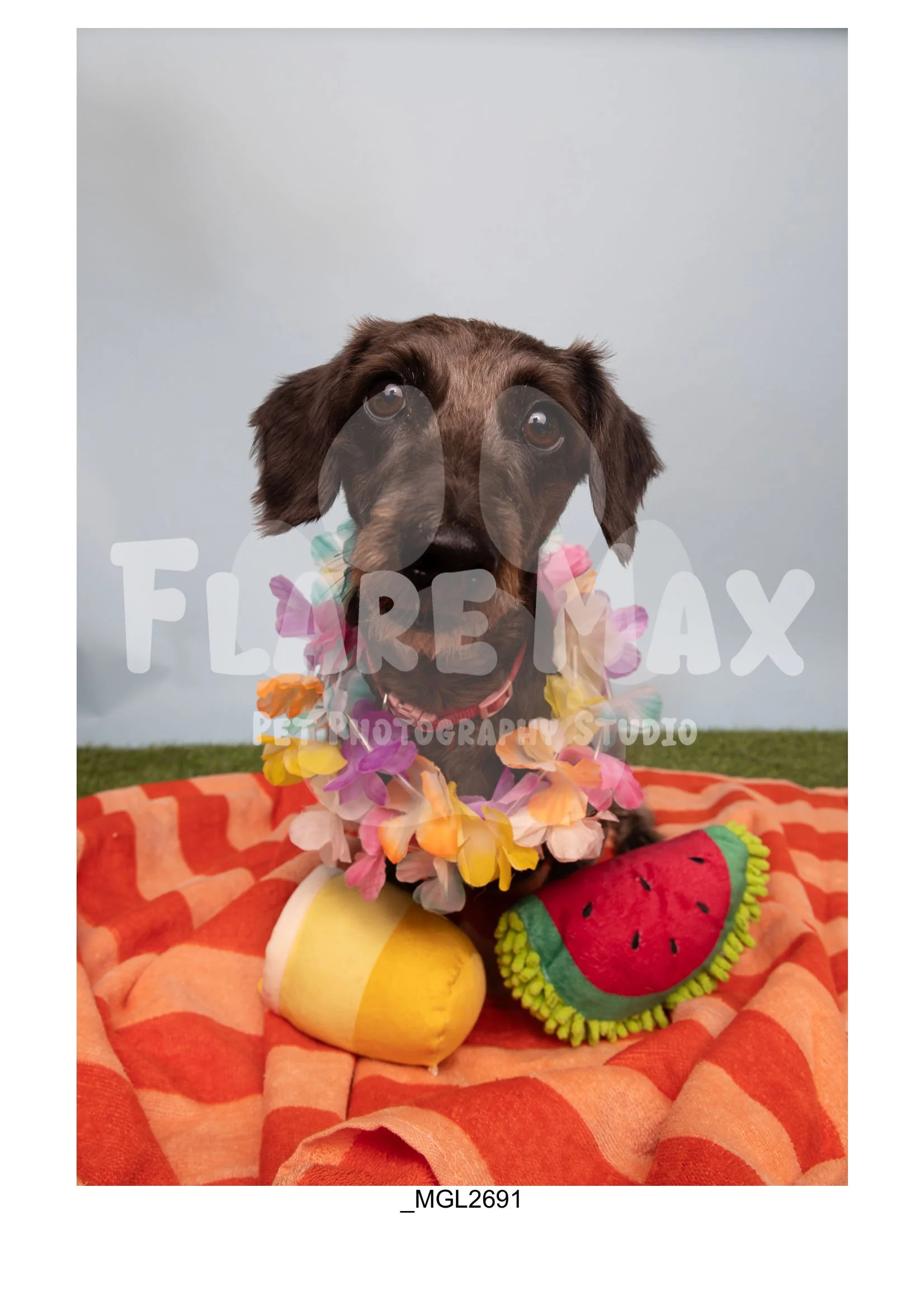 Doghouse gallery-154.jpg