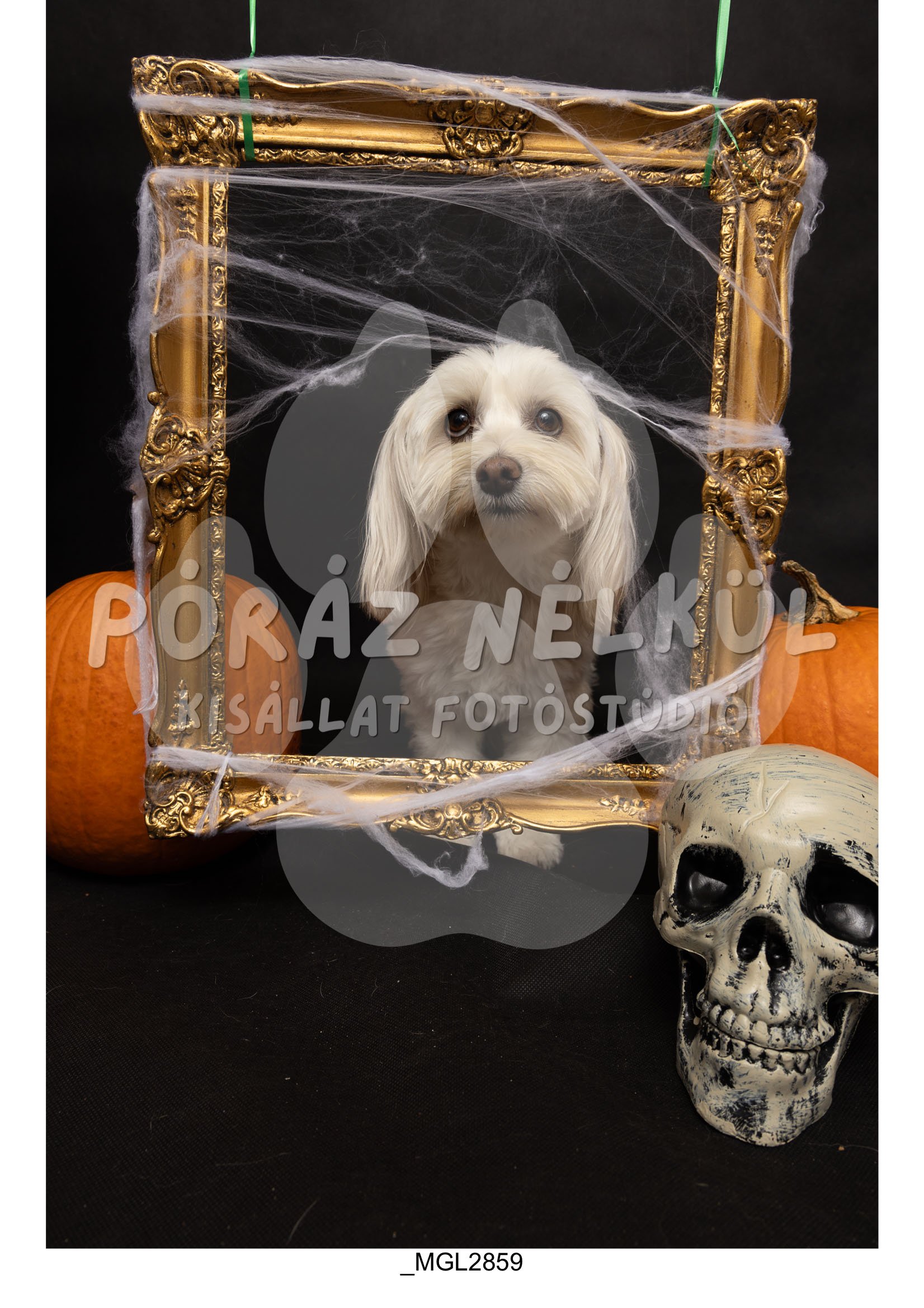 Minta-028.jpg