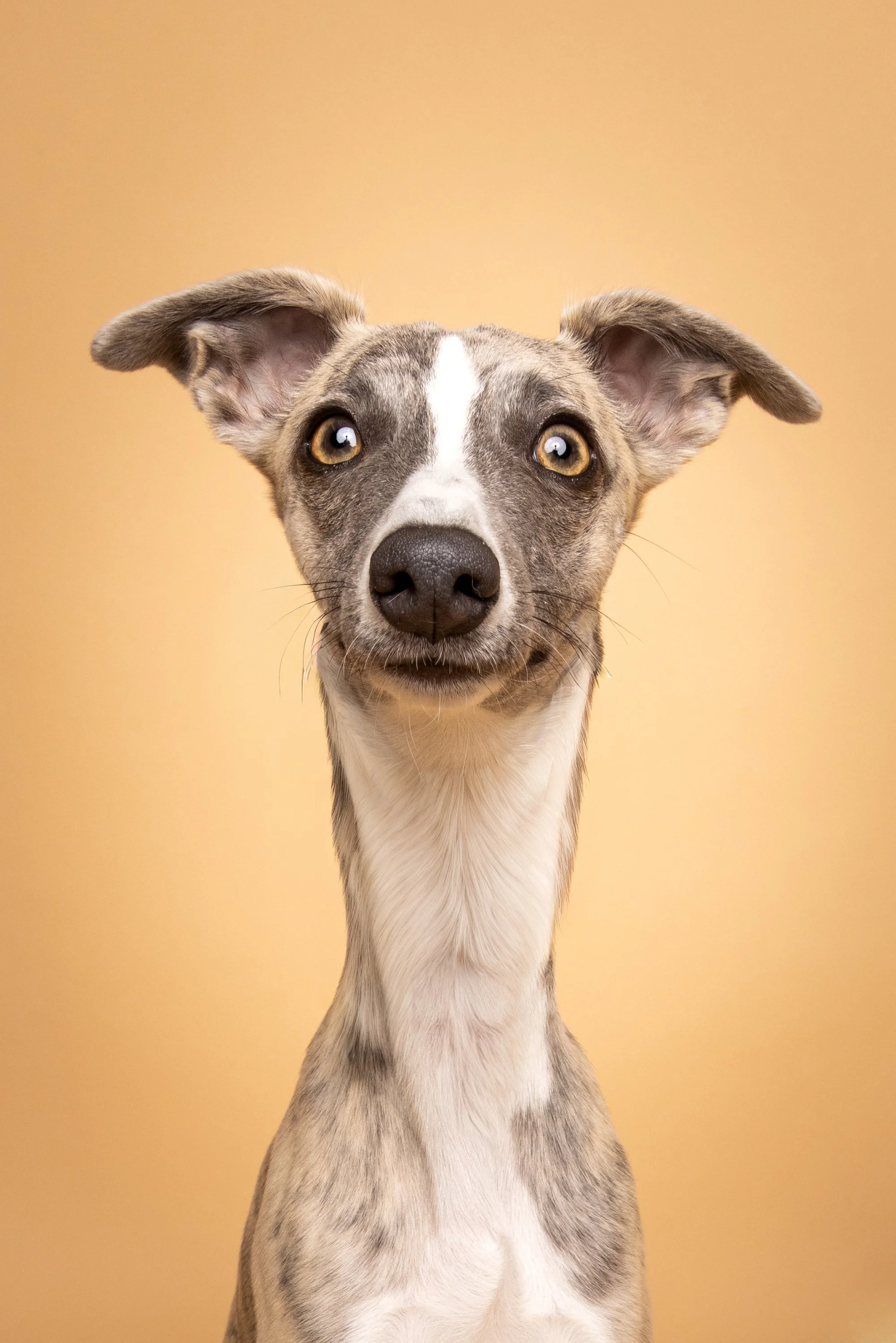 20240914-5547-Edit copy.jpg