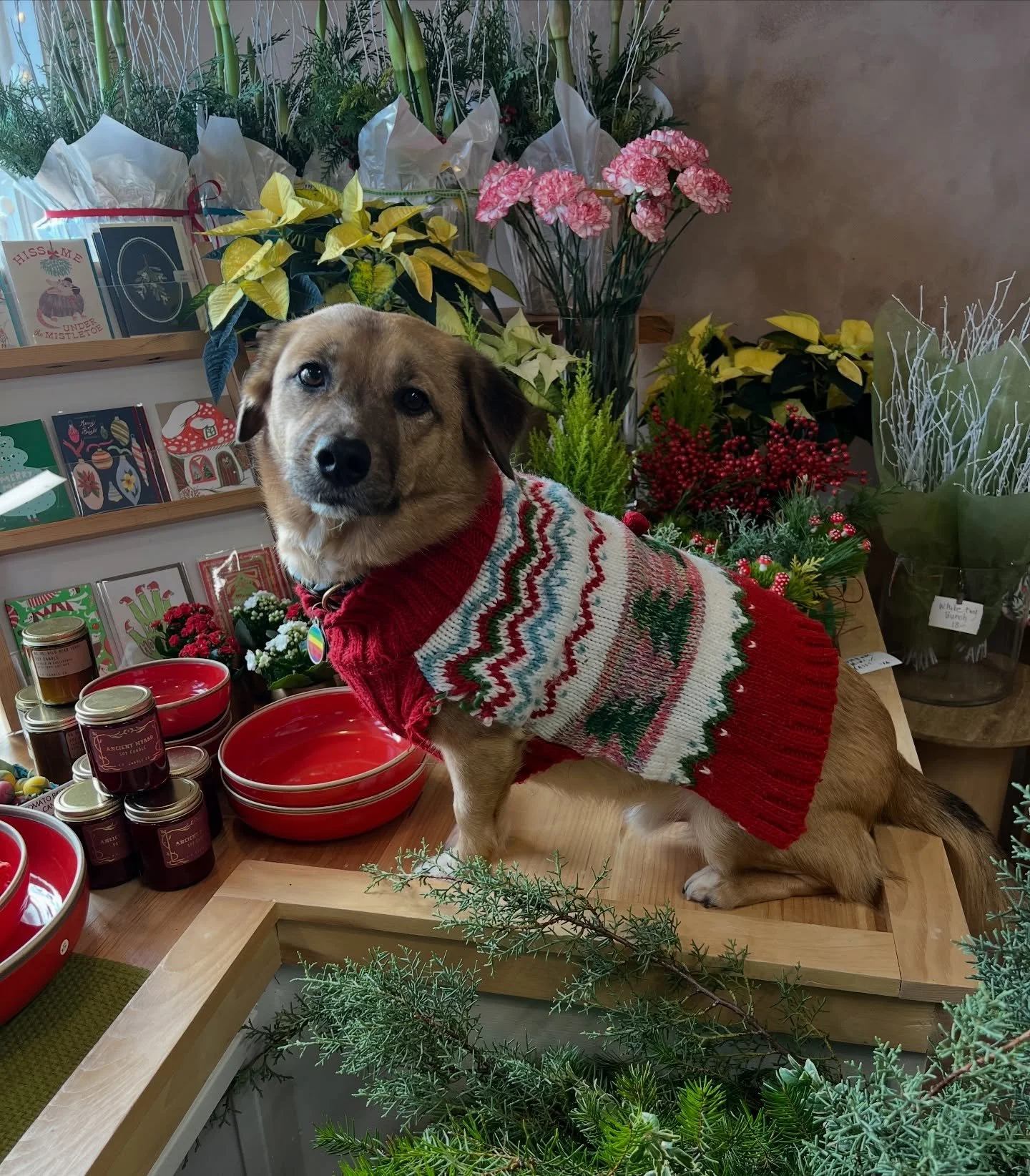 PLZ READ - We're closing a lil early today (Thursday 12/11) at 3pm to prep for a private lil' holiday party! 😉🎄Come shop with us until then!