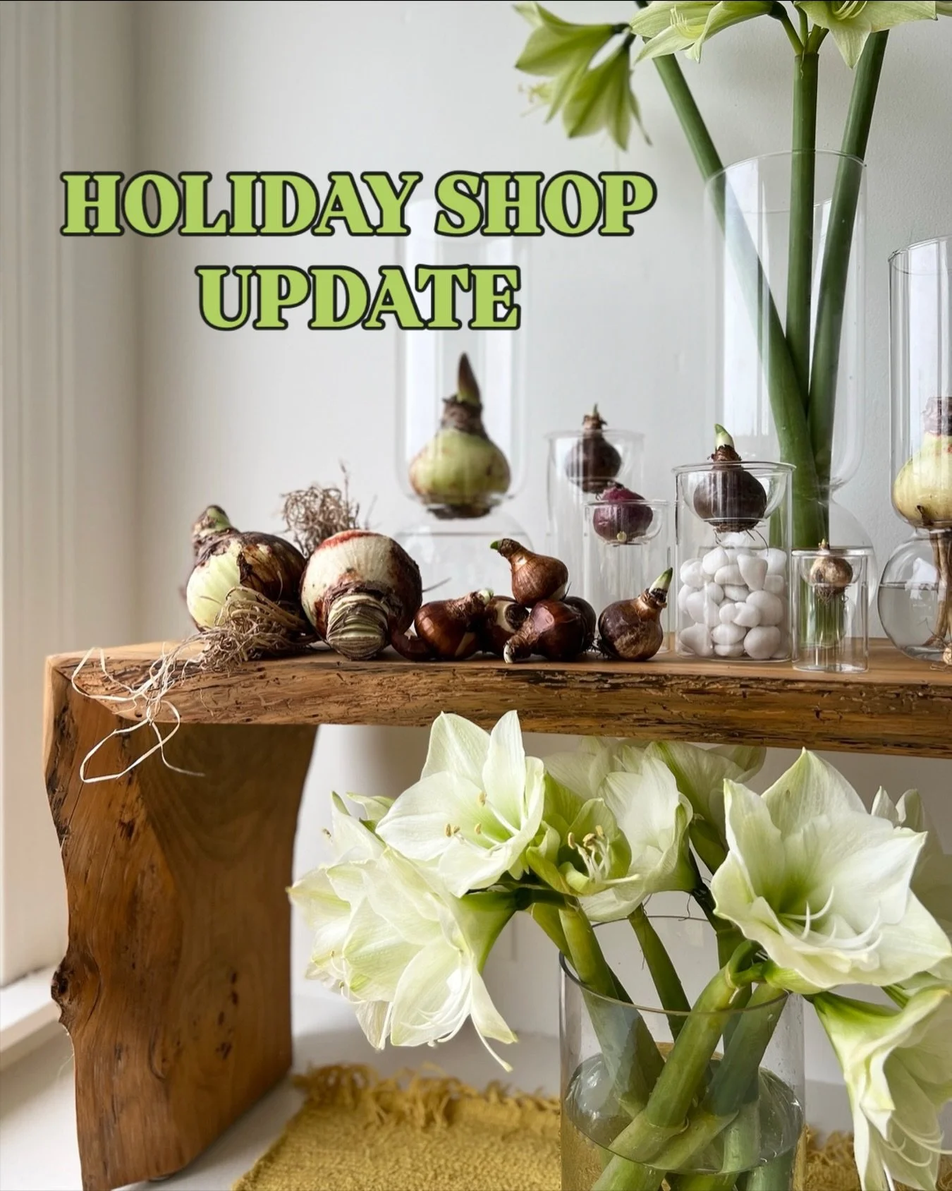 Extended holiday shop hours start next week! 🤯 Starting 12/10, we will be open Wednesday through Saturday from 10am to 6pm. We will also be open 12/22 &amp; 12/23 from 11am to 5pm - as well as Christmas Eve from 10am to 1pm. We're putting out SO man