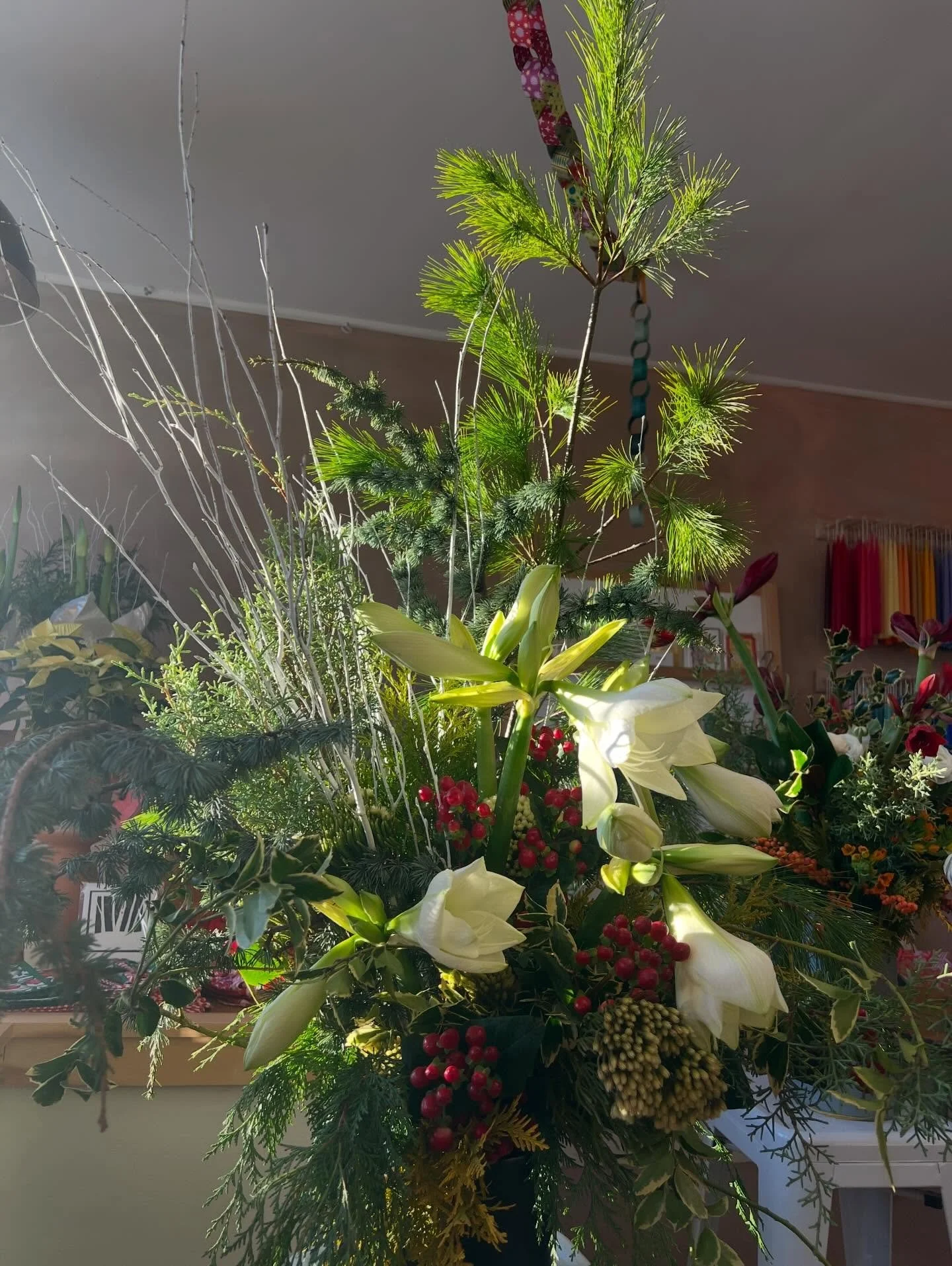 Happy Holidays! We&rsquo;ll be closed through January 7th 2026. We re-open on January 8th for our annual post holiday stock up sale! Thank you for all your support this year- we have some really exciting news to tell you about for 2026😊