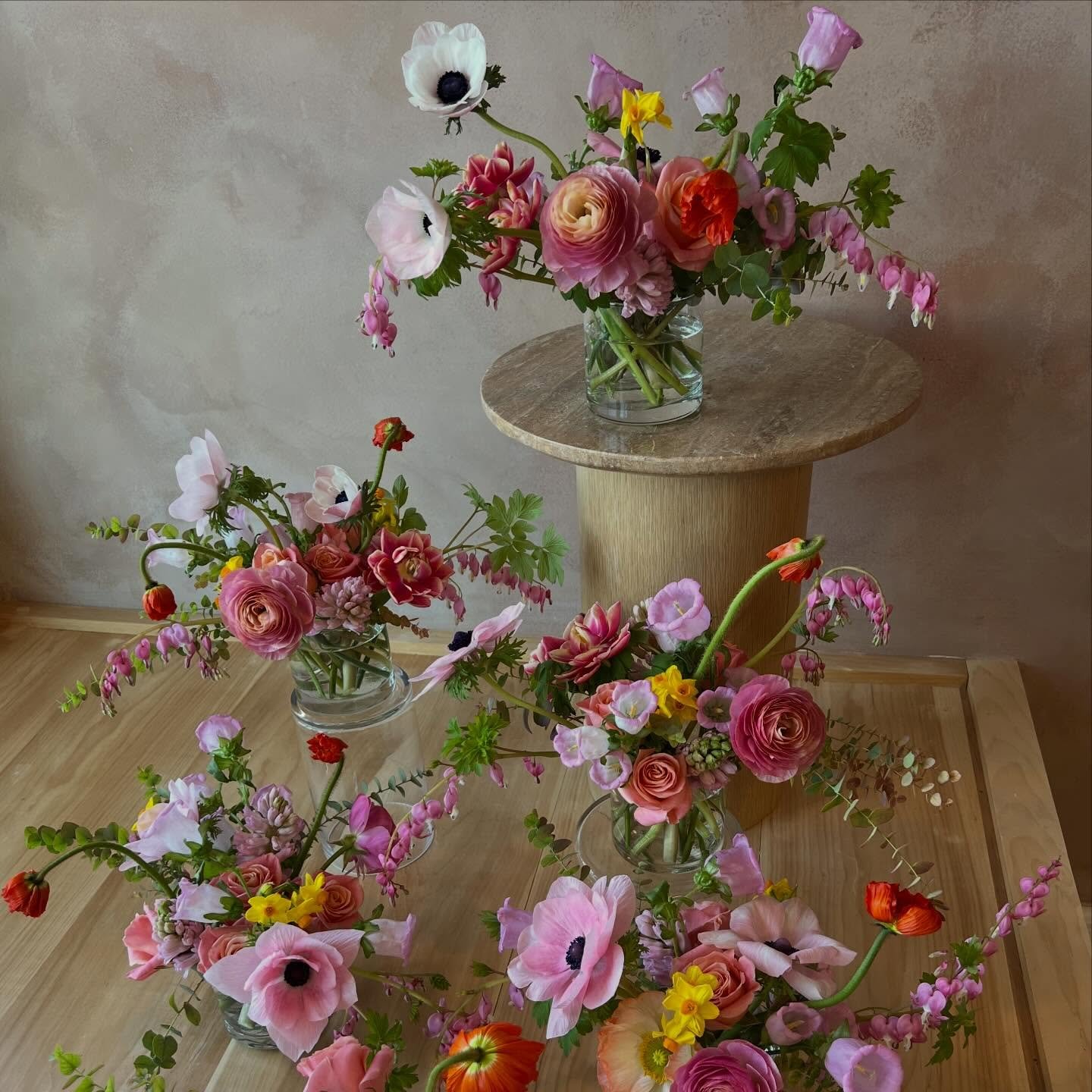 Spring has sprung in the shop! Come brighten up your day and shop local tulips, flowers and new fun plant offerings like these potted daffodils, muscari, pocketbook plants, and hellebores! 🌸💐🐥☀️