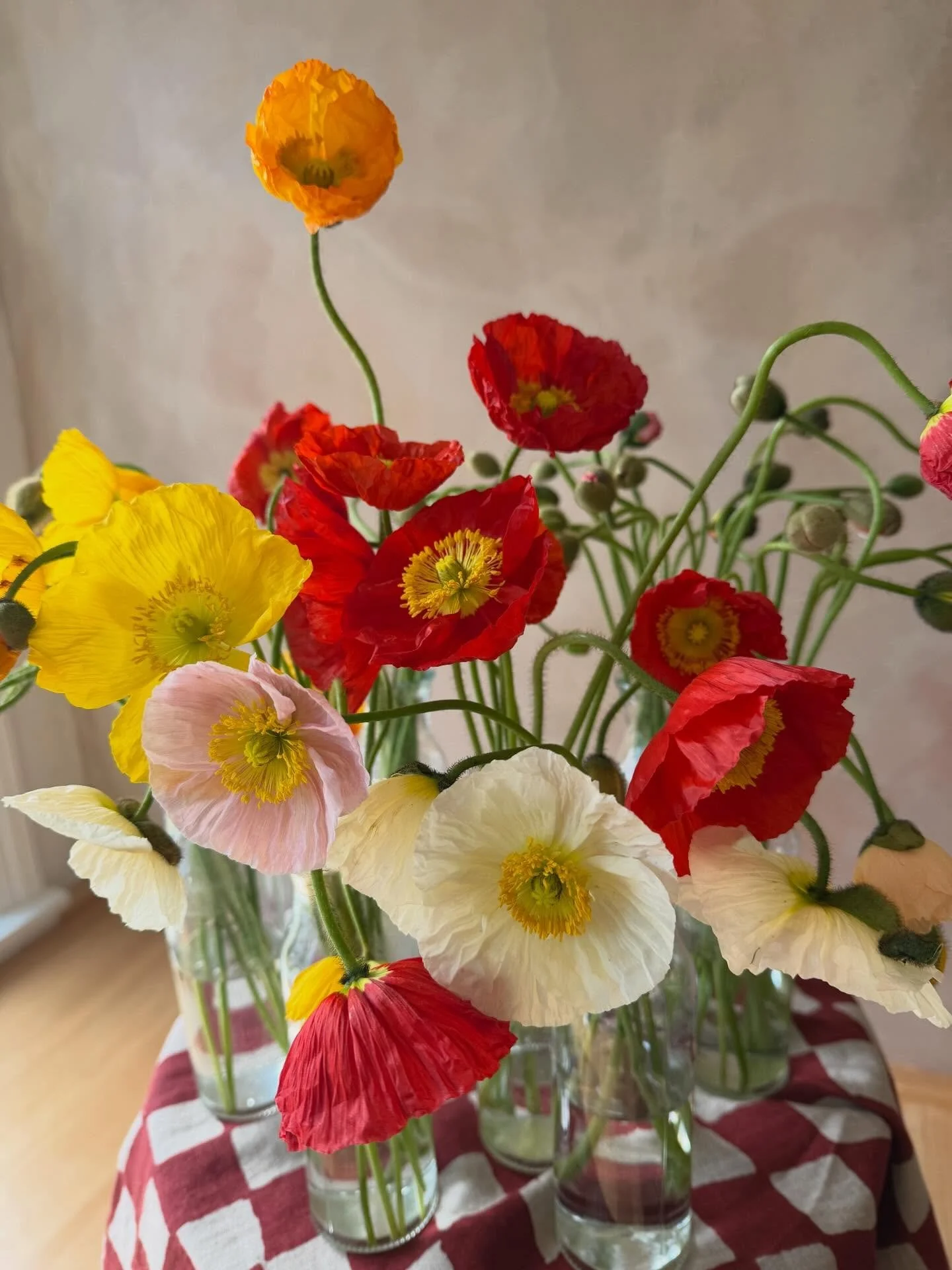 Well that happened fast! This is our last week open at the shop! I didn&rsquo;t have time to put up any Easter offerings🫠 but we&rsquo;ll have plenty of blooms! We hope you&rsquo;ll stop by this week and see us before we close for retail on April 4t