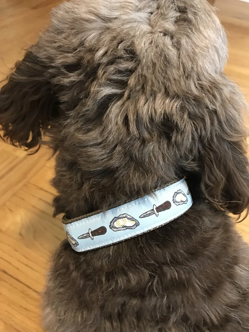 Oyster Shucker Dog Collar