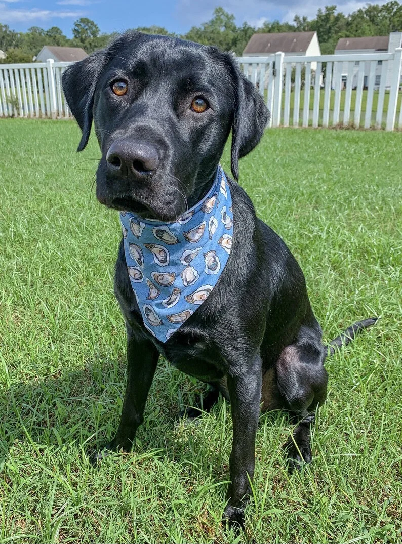 Oyster Shell Performance Bandana Tie On