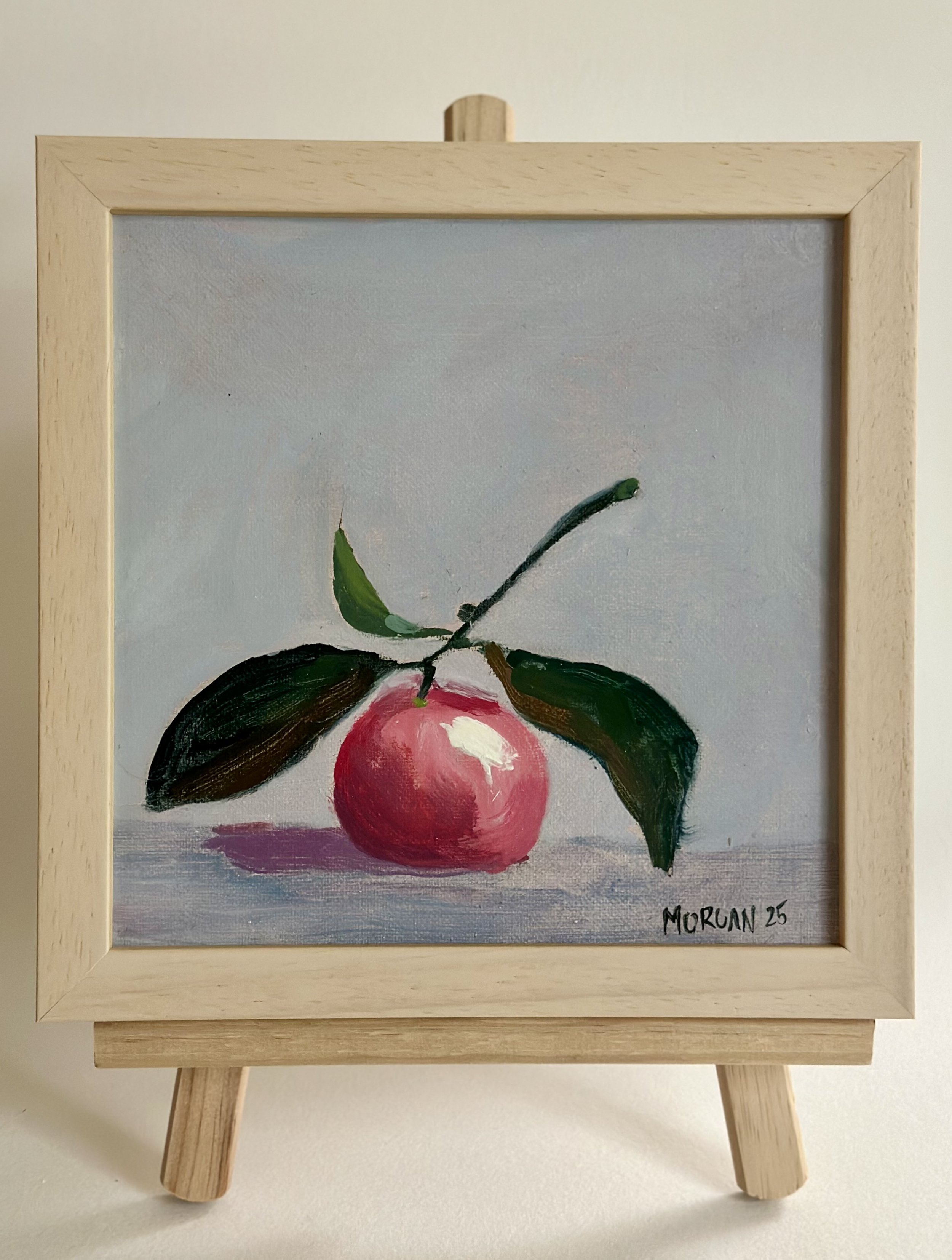 Pink Mandarin, 8"x8" Framed