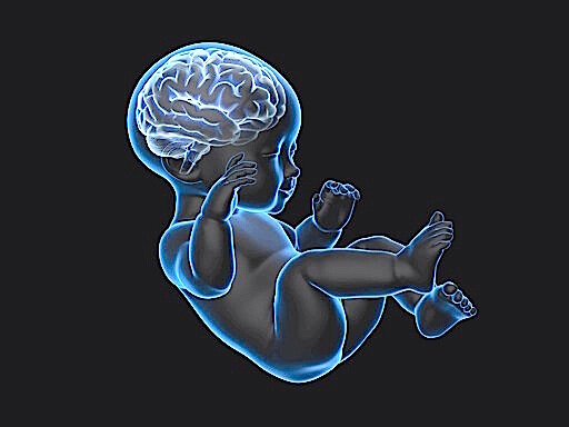 Making Sense of Bioethics: Column 167: The Corpse Raiders