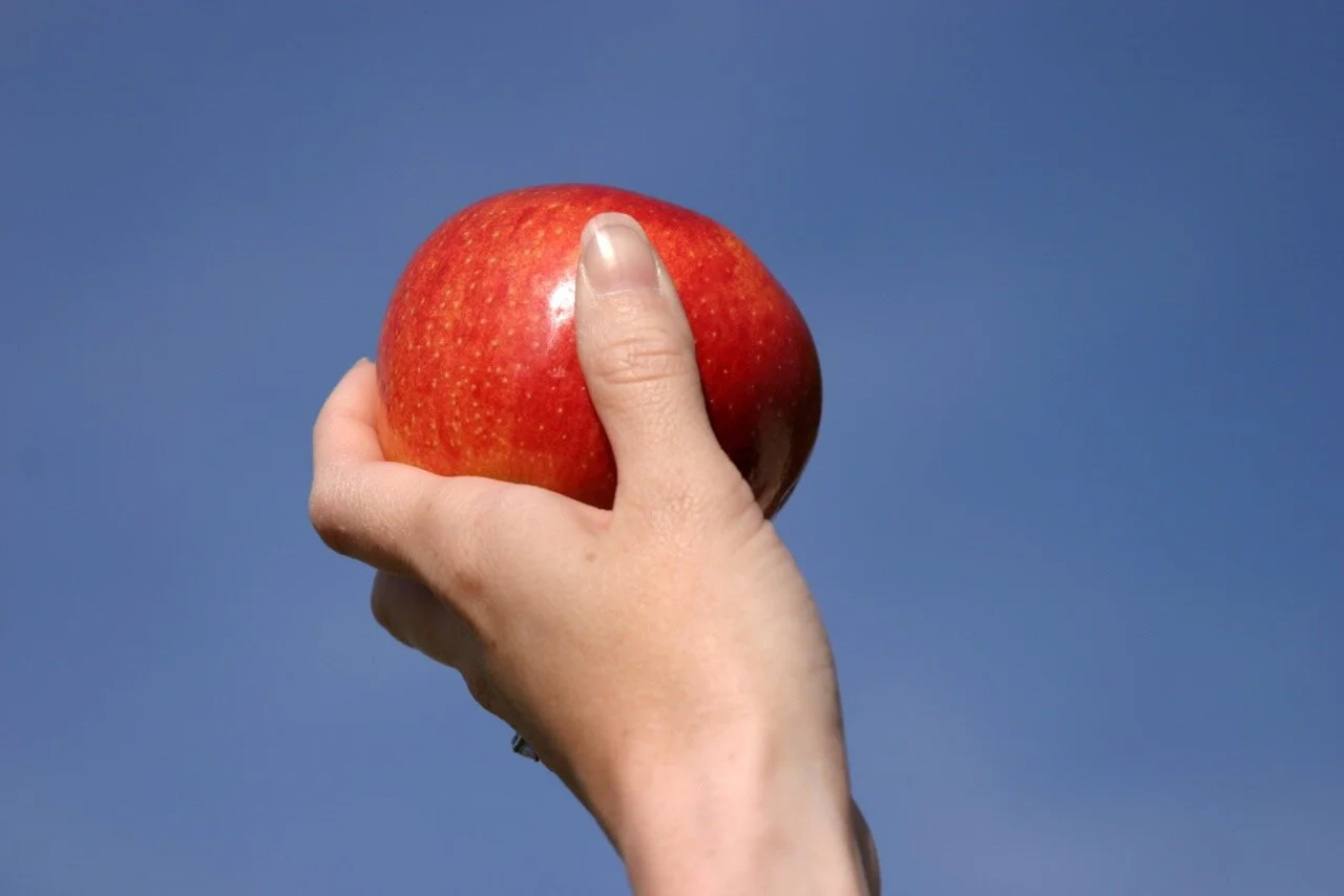 Making Sense of Bioethics: Column 119: What is VSED and Why Should It Matter to Us?