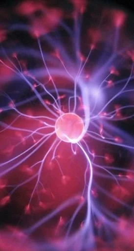 Making Sense of Bioethics: Column 195 : Sexual Atoms and Molecules