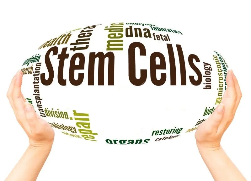 Making Sense of Bioethics: Column 212: What About Synthetic Embryos?