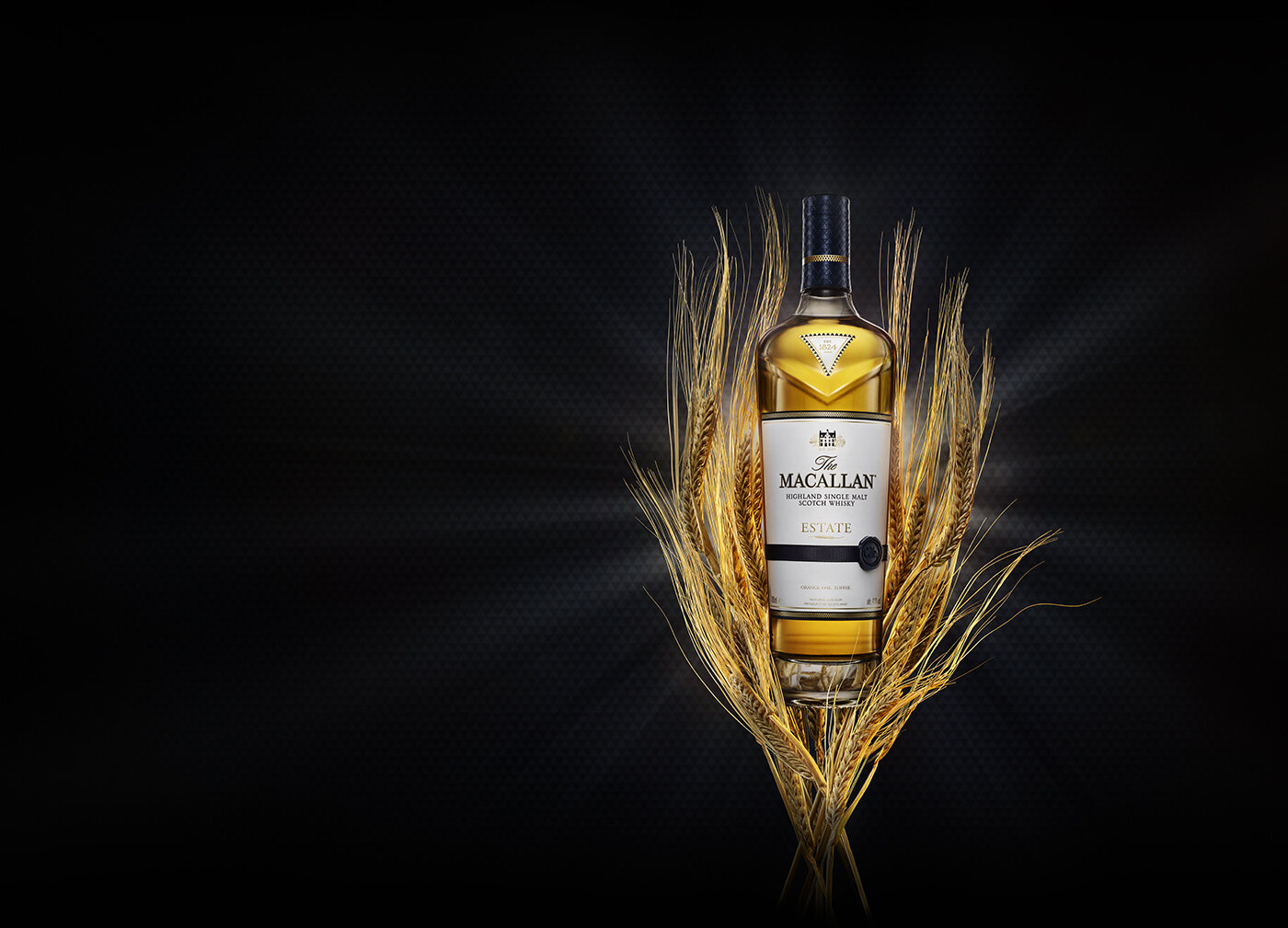 Tim_Ashton_Macallan_Bottle_Barley_BehanceFull.jpg