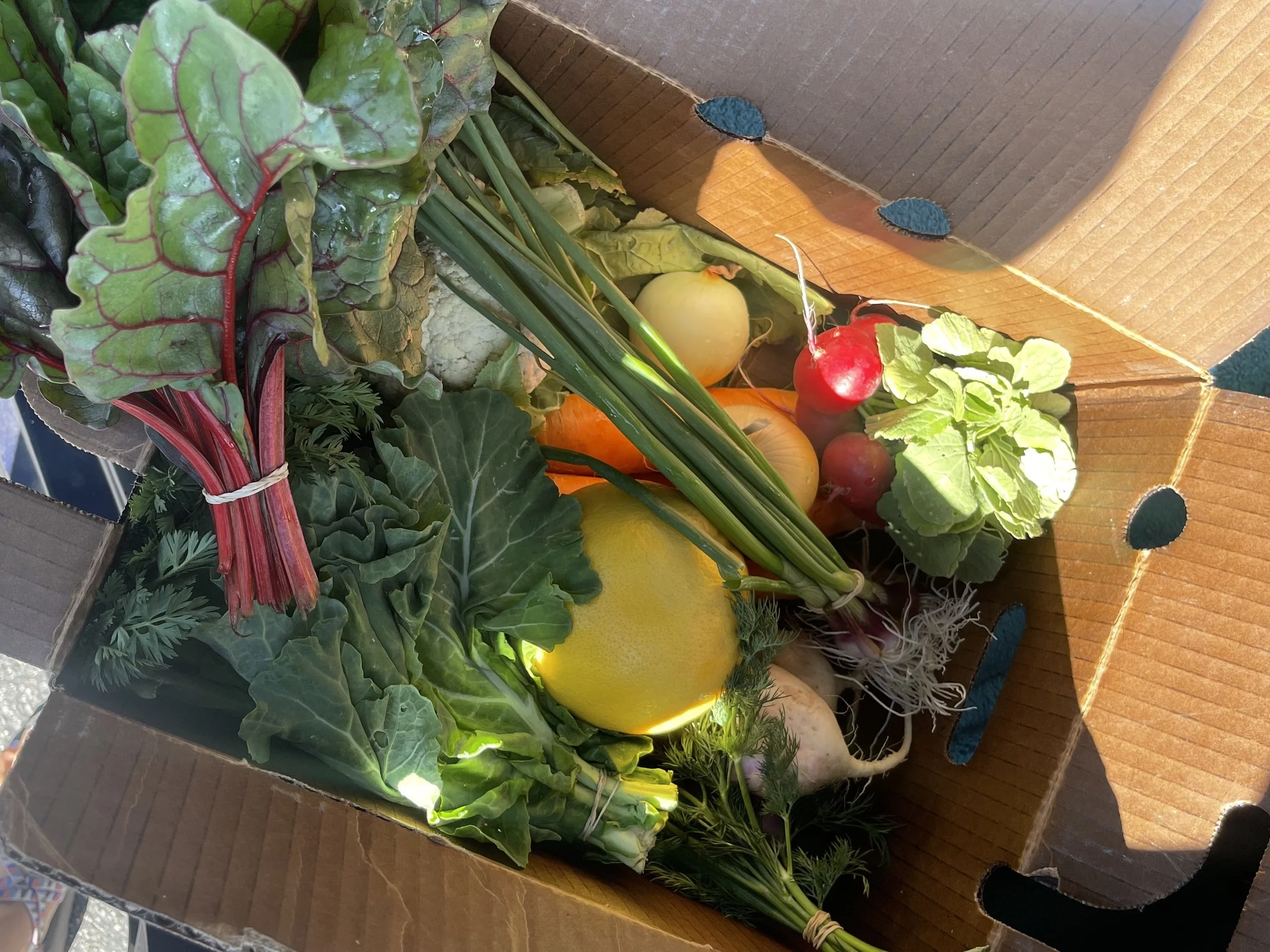 CSA Weekly Produce Box — PROJECT ROOTS