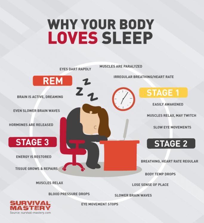 loves-sleep-infographic_56abe89c49601_h750.png