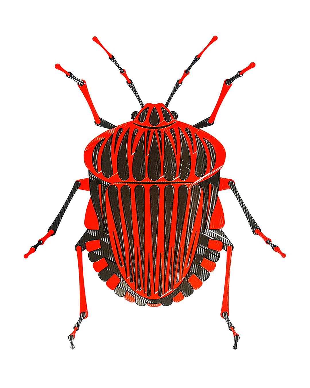 bug_red_sergi_delgado_005.webp