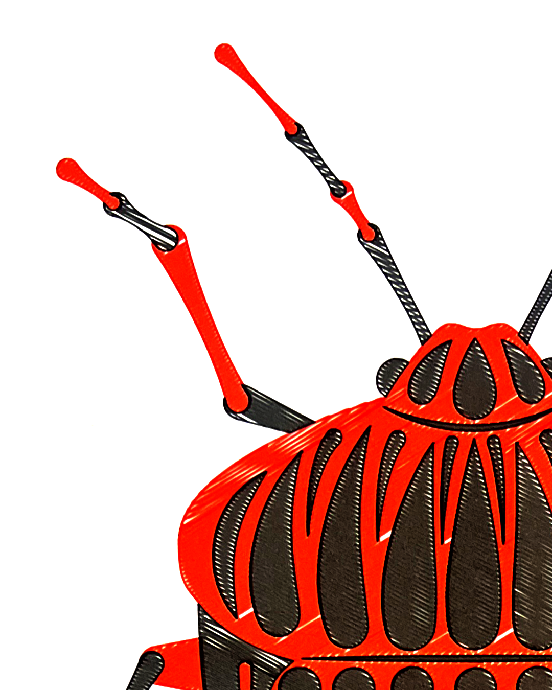 bug_red_sergi_delgado_006.png
