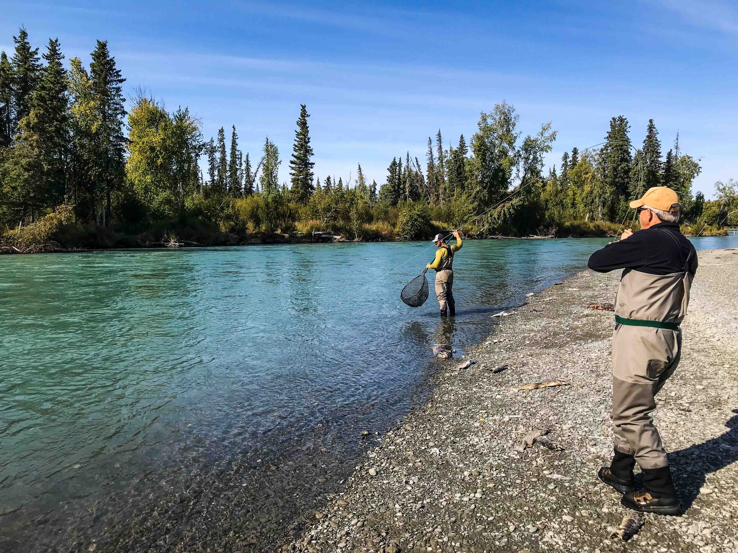 Kenai River Trout Fishing Guide Double Haul Fly Fishing — Double Haul