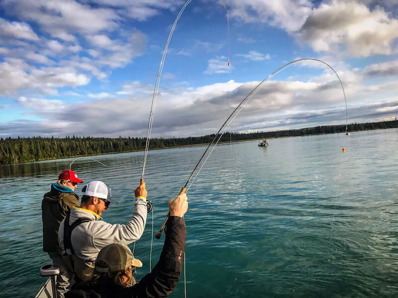 Kenai River Trout Fishing Guide | Double Haul Fly Fishing — Double Haul Fly Fishing - Kenai
