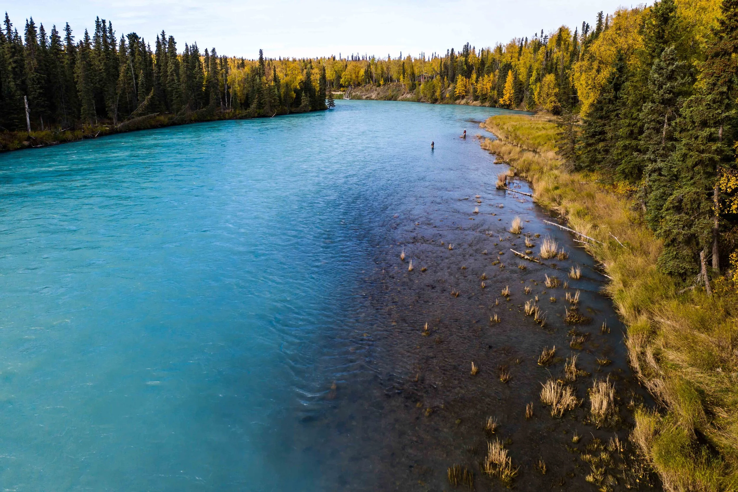 Fishing the Kenai River in October | What you need to know | Double Haul — Double Haul Fly