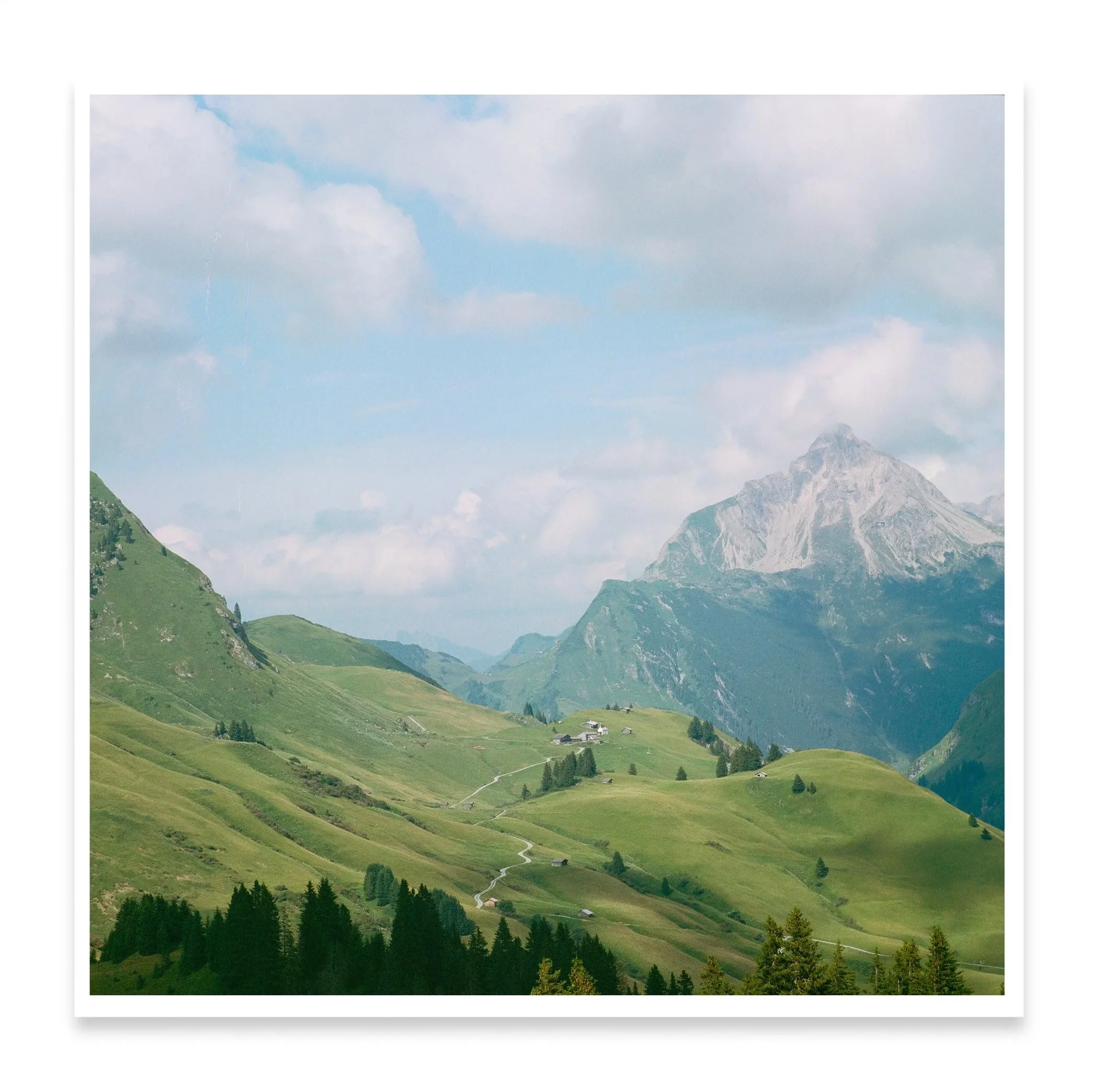 Lech+summer+valley+mounted+photo+pics.jpg